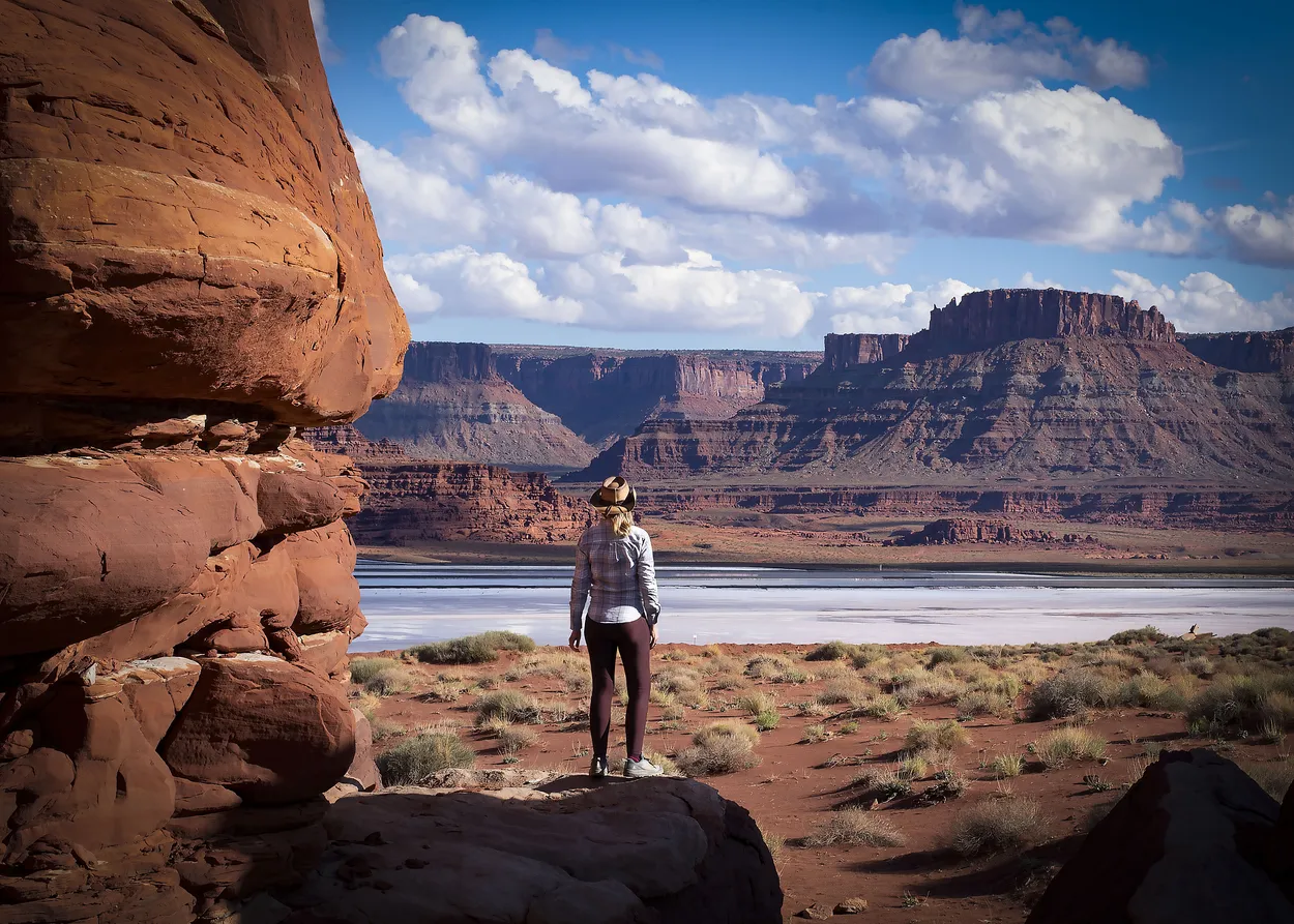 Entry 19286640