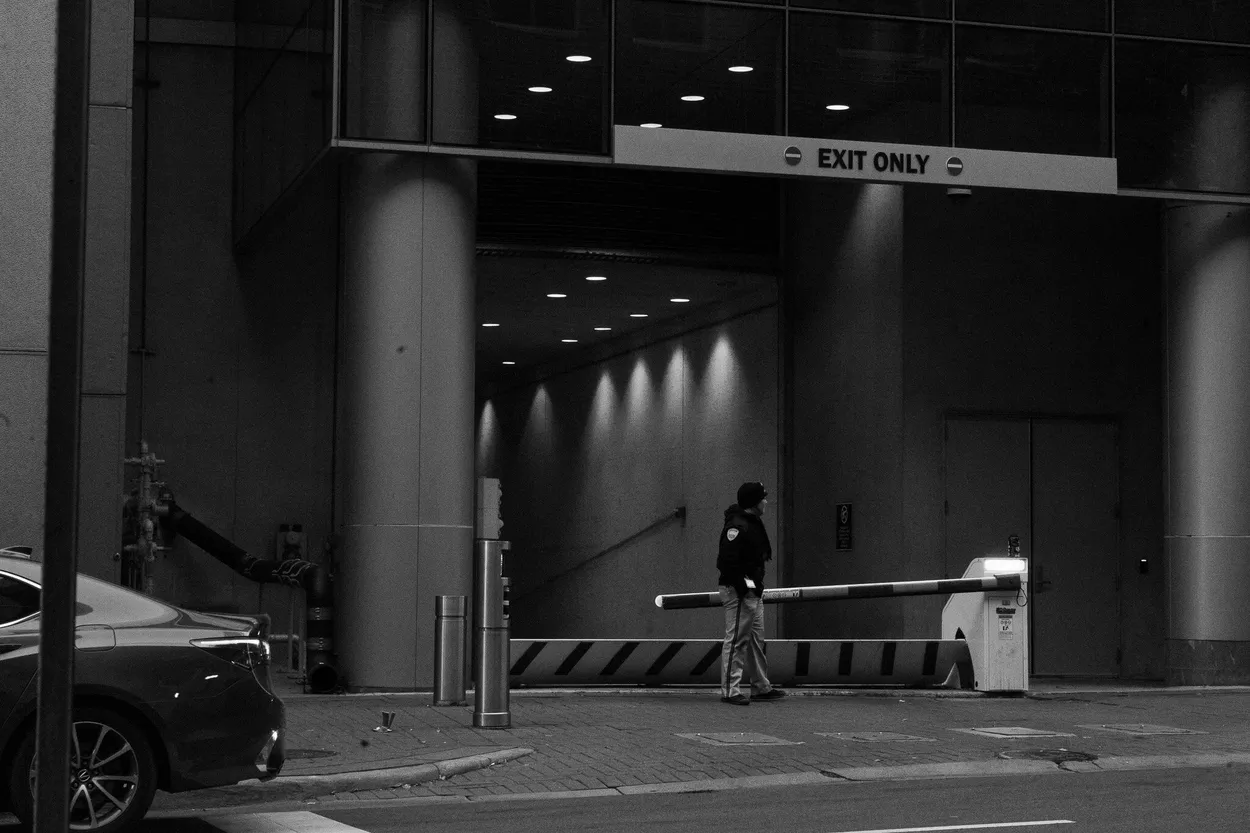 Entry 19295541