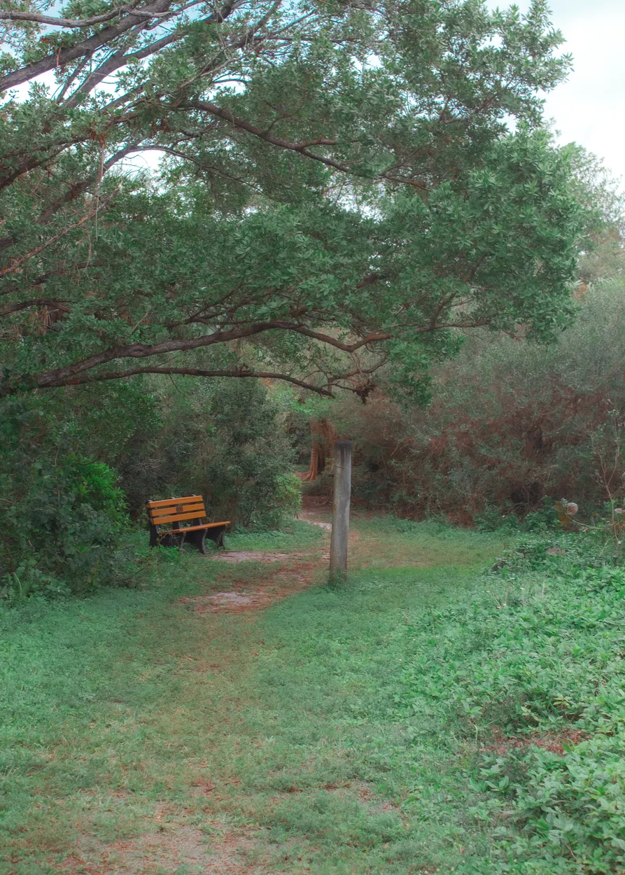 Entry 19296030