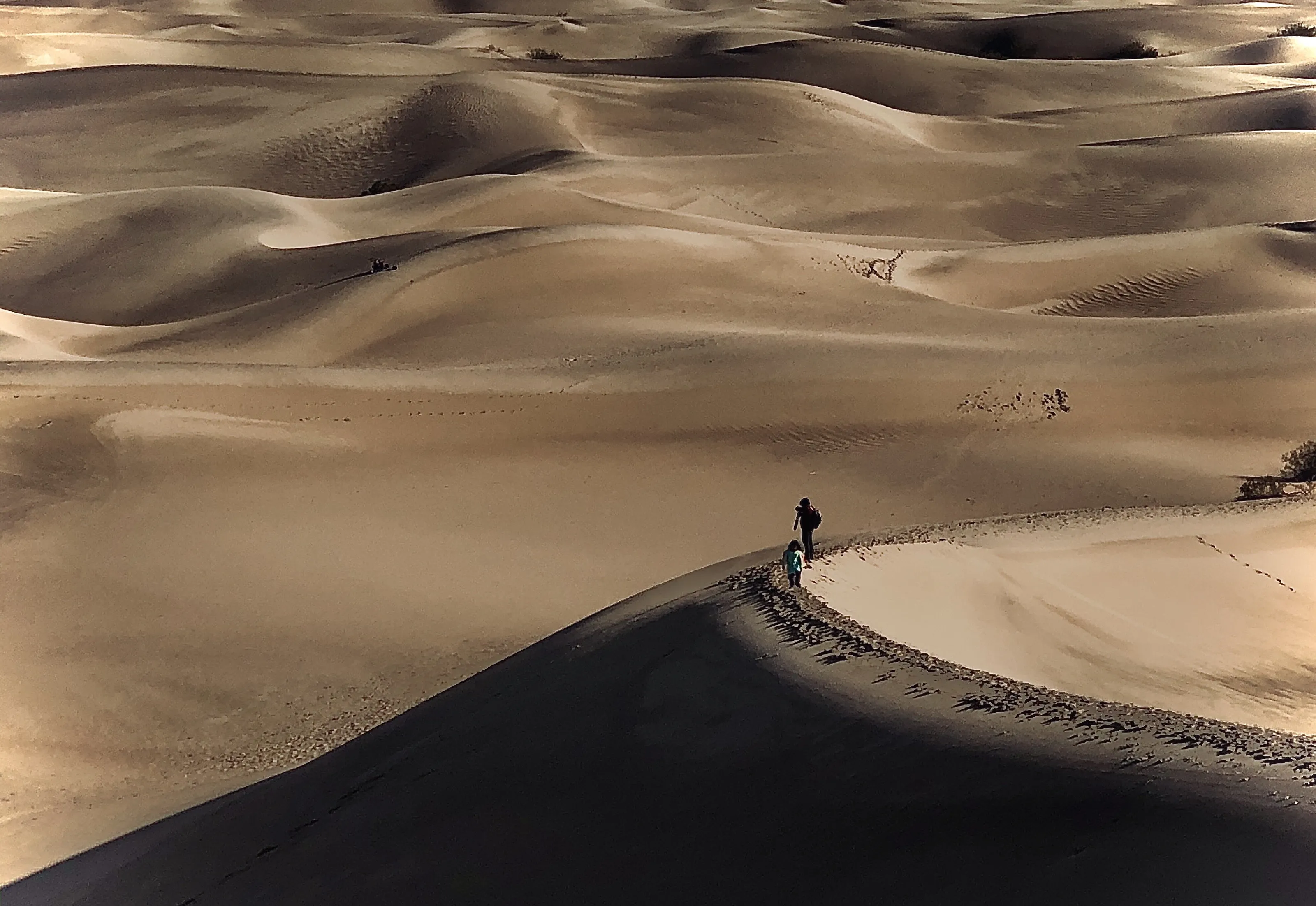 Sand dunes Death Valley
