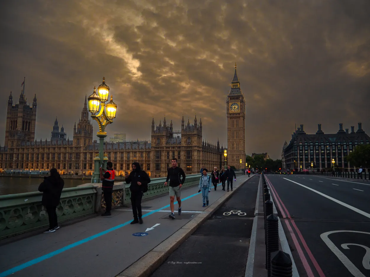 Entry 21880075