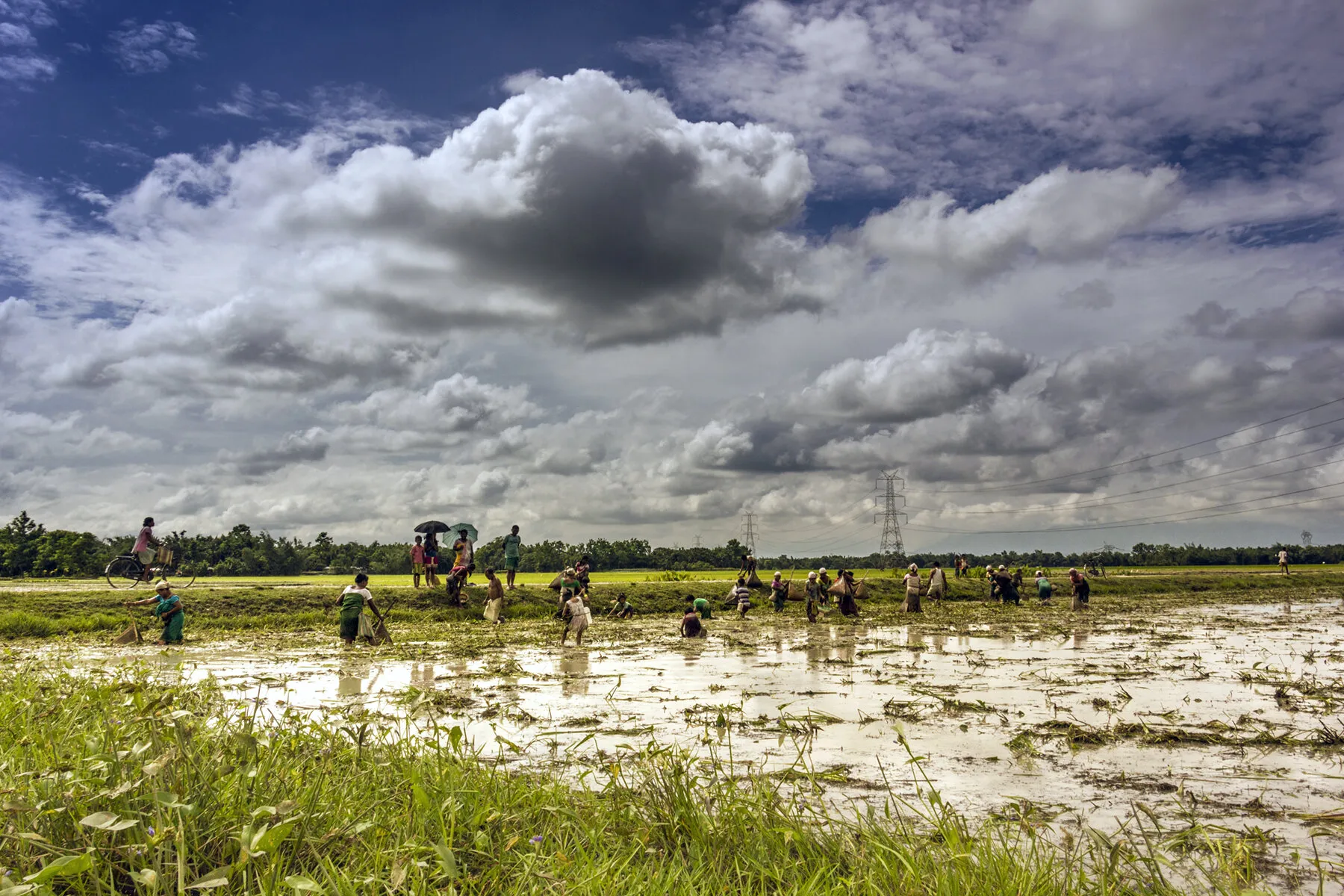 Village fishermen