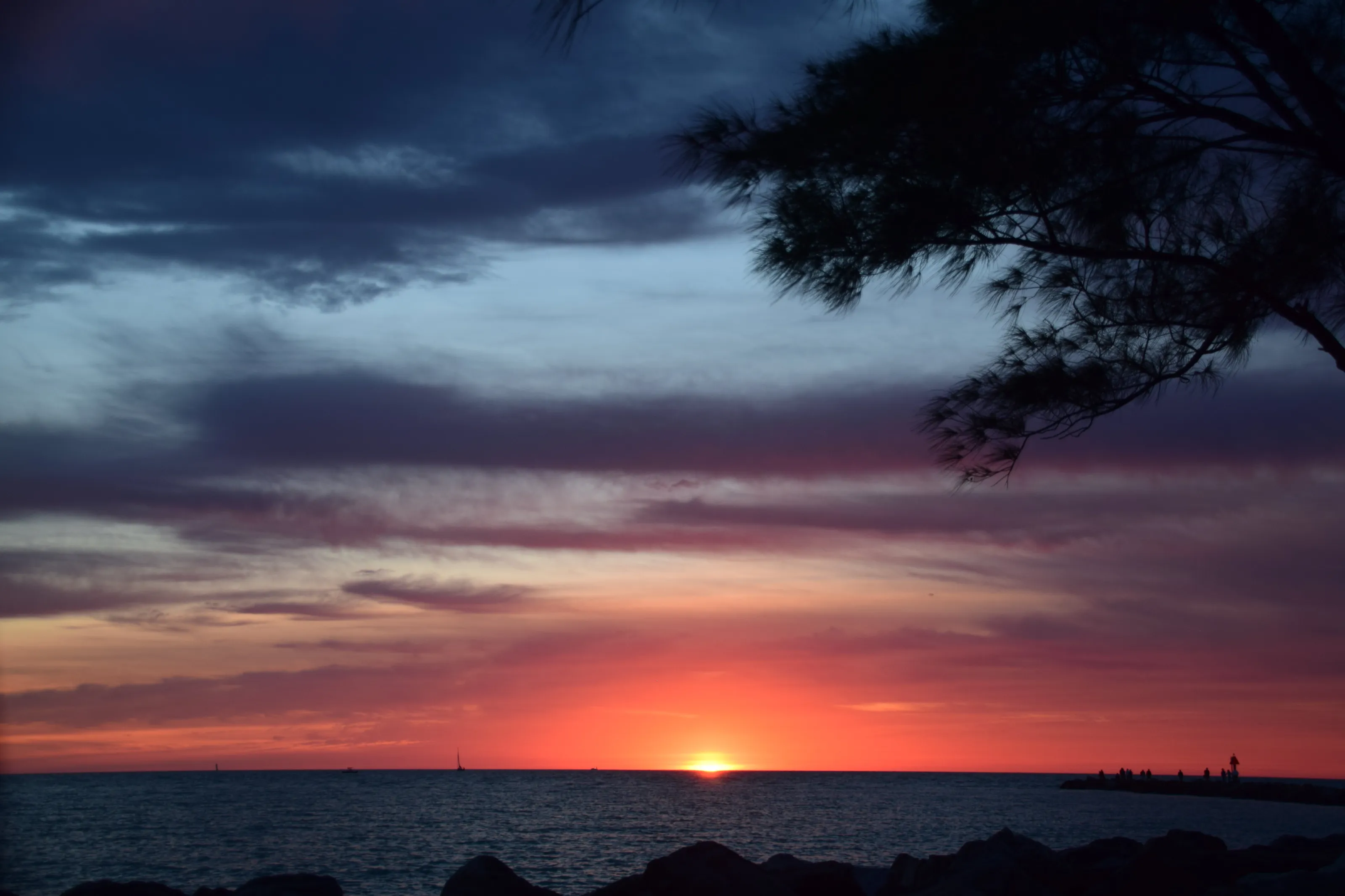 Florida Sunset