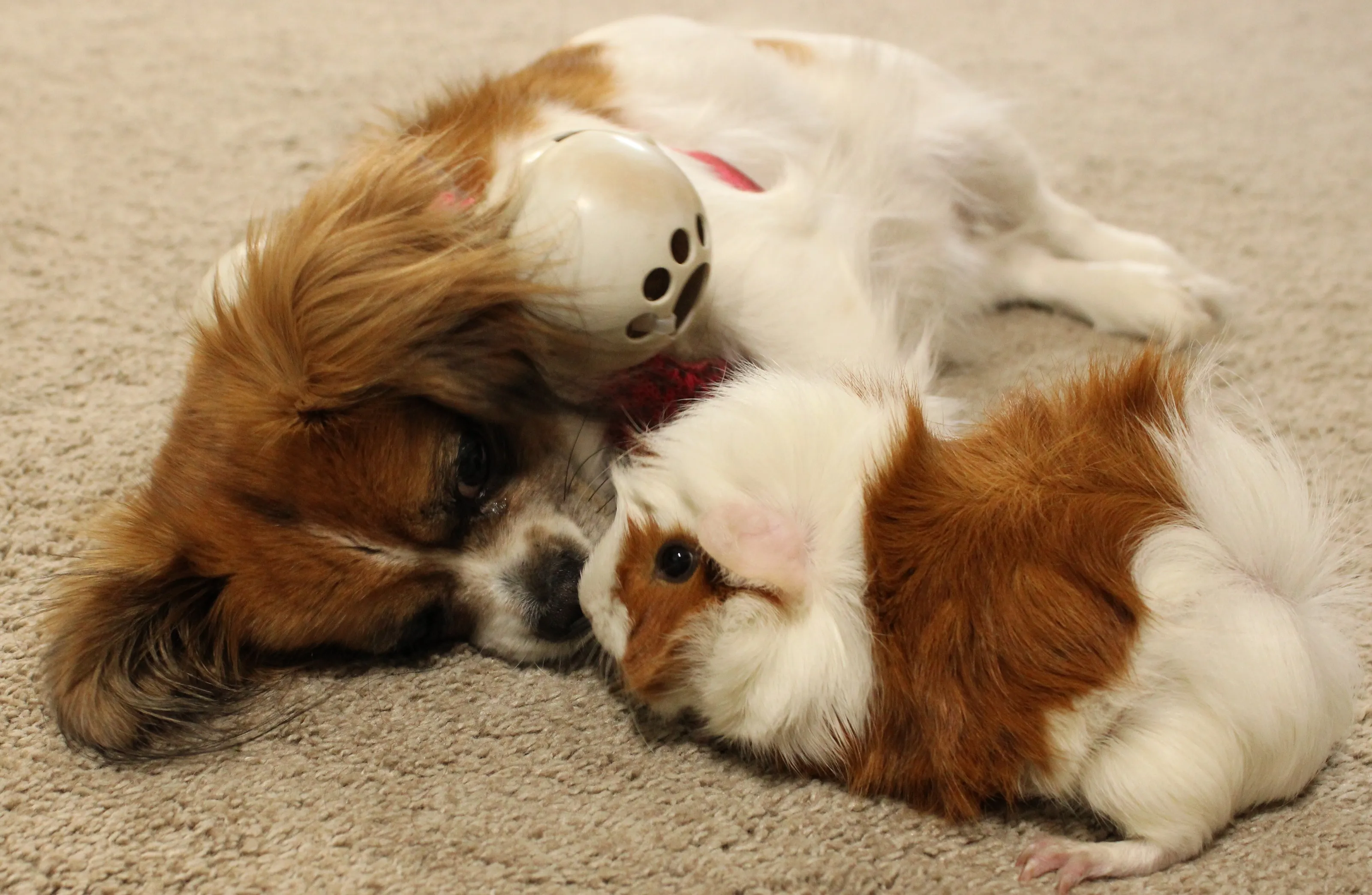 Bailey&Mazie