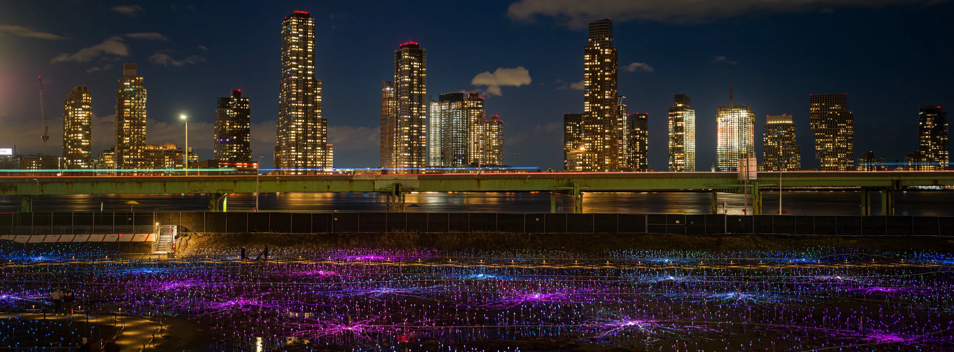 Field of Lights New York City