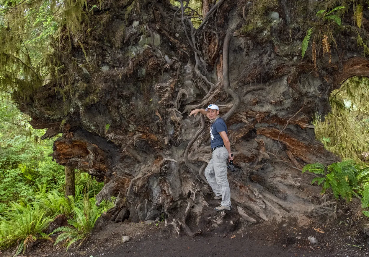 Entry 26179587