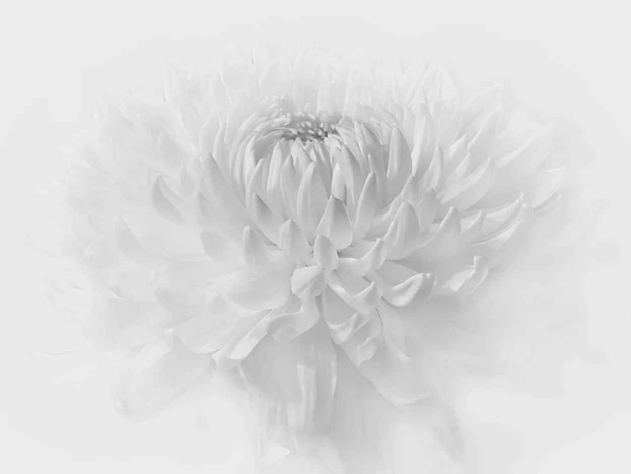 Entry 19320192