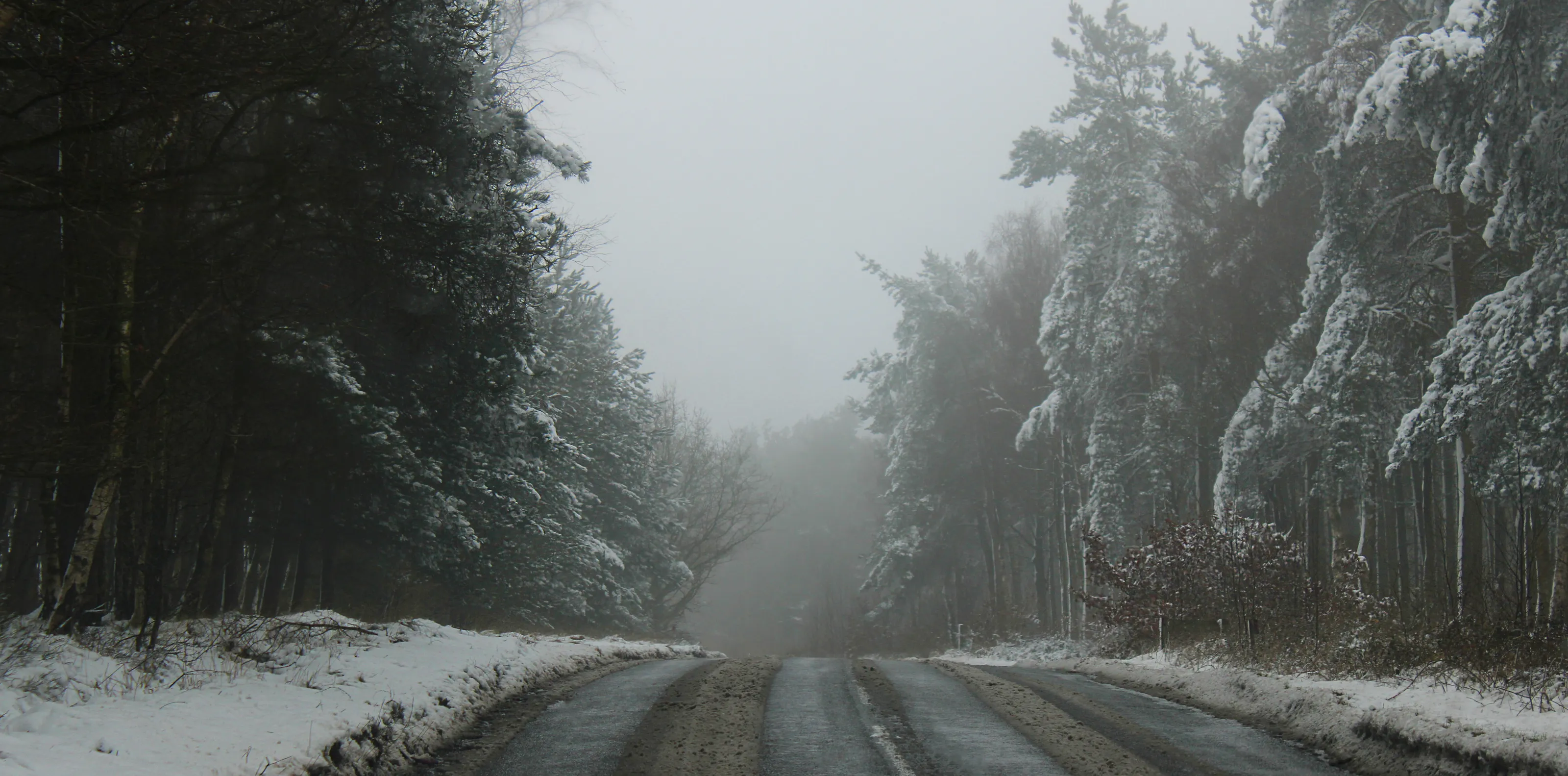 Misty Road Ahead