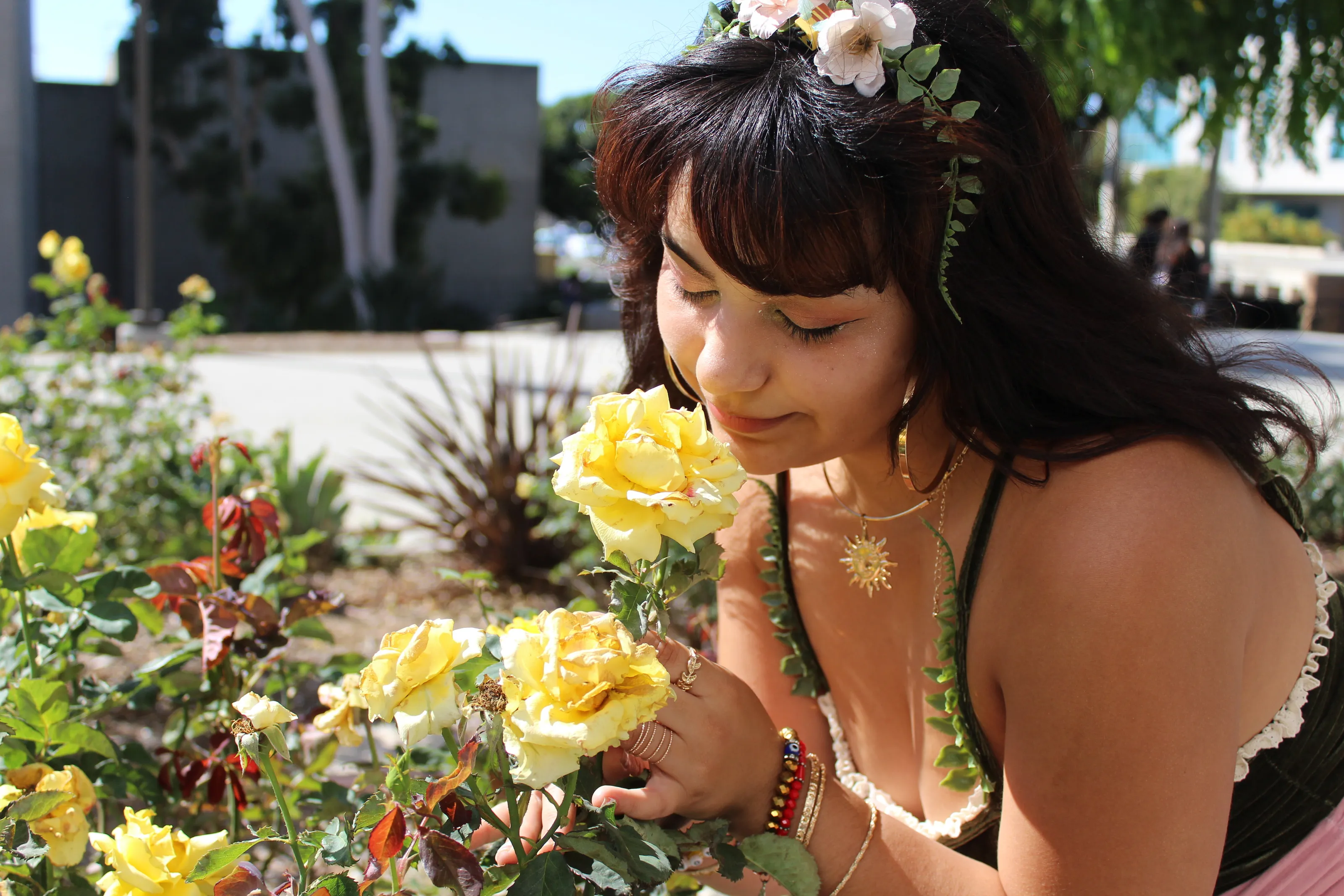 Flower Dream