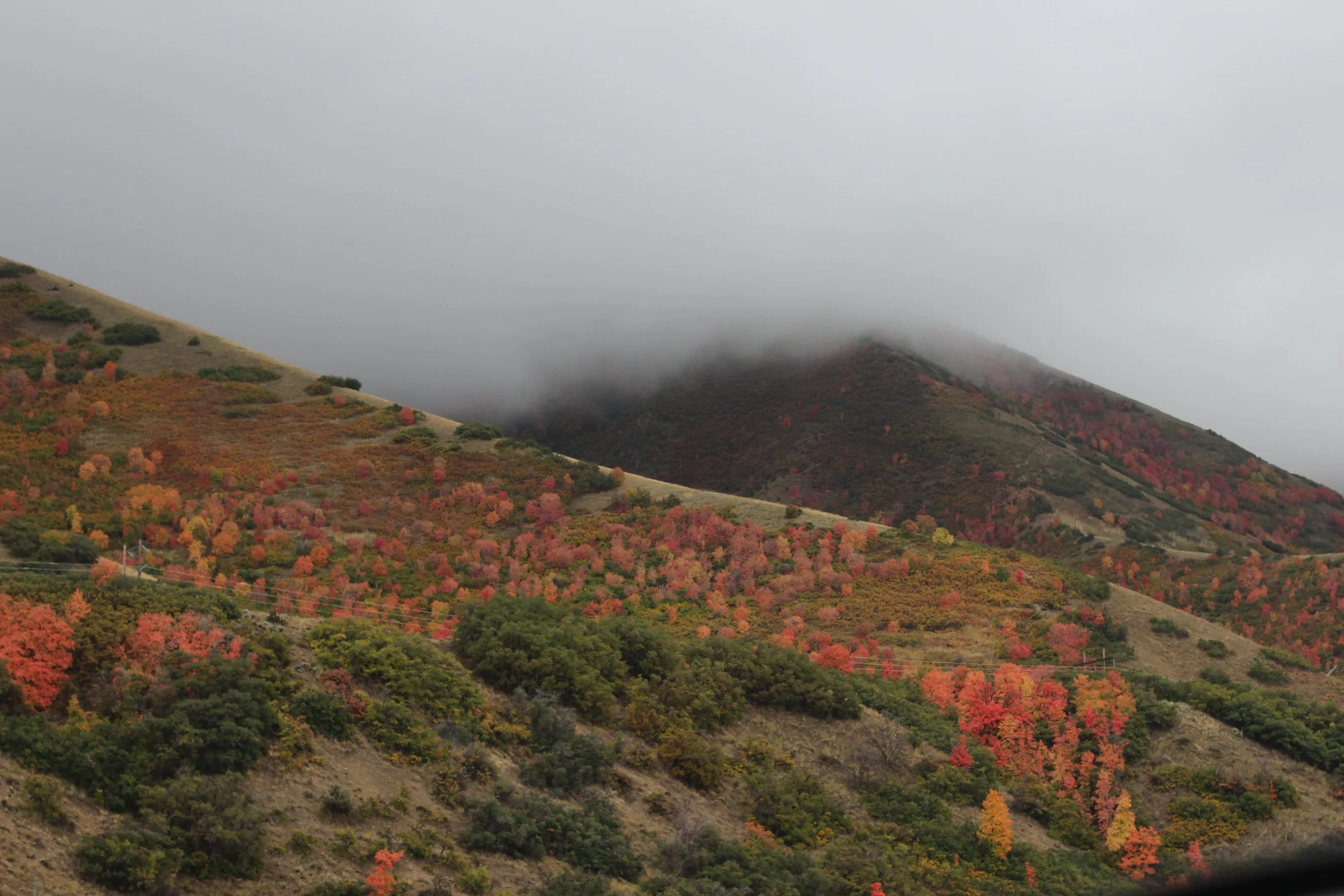 Foggy Autumn Mountainside