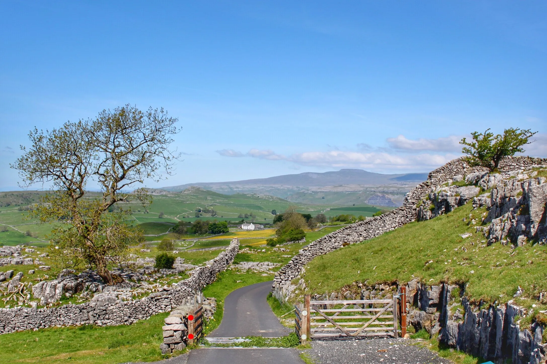 Spring at Winskill Stones