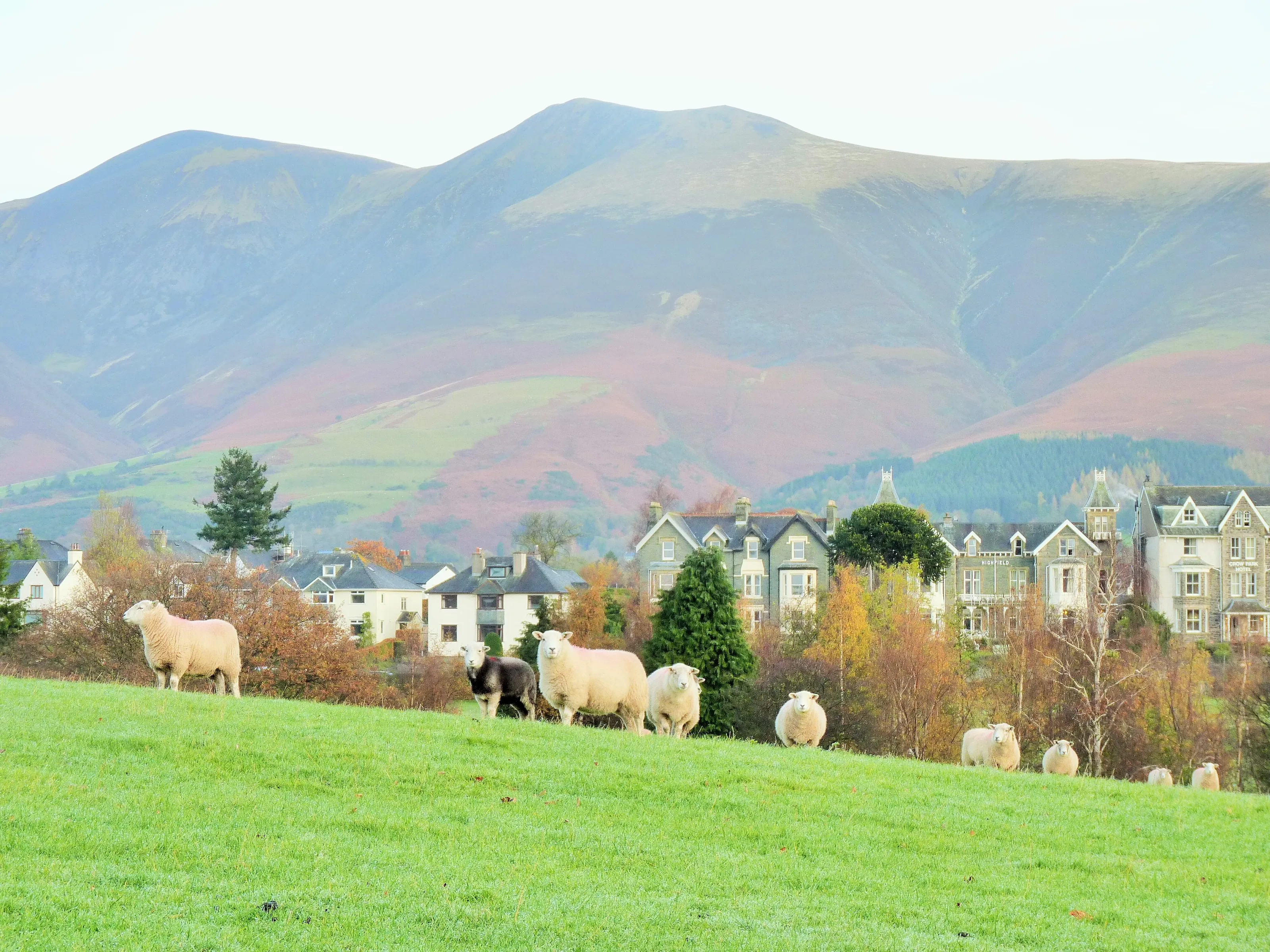 Autumn colour in the Lakes