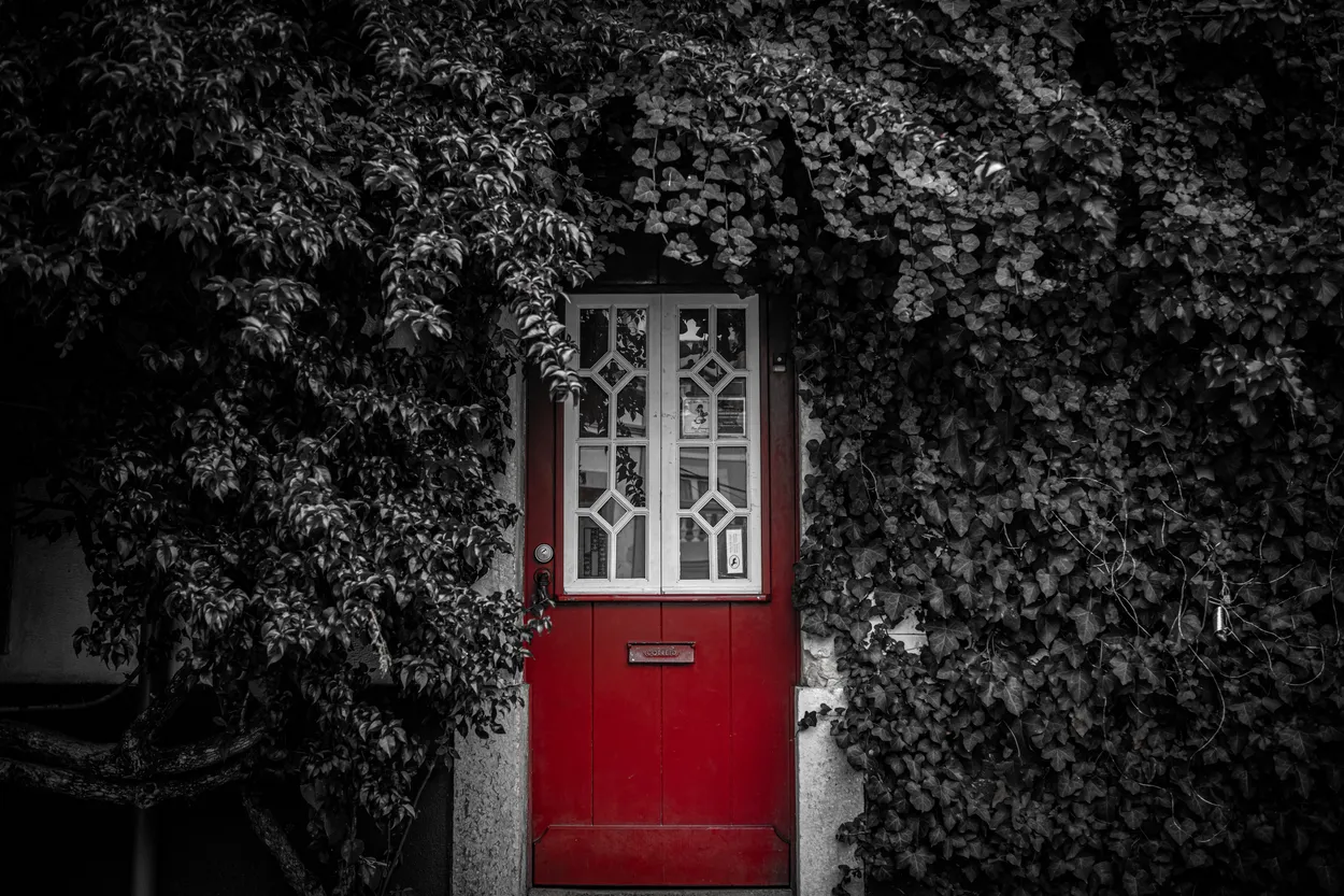 Entry 19729013