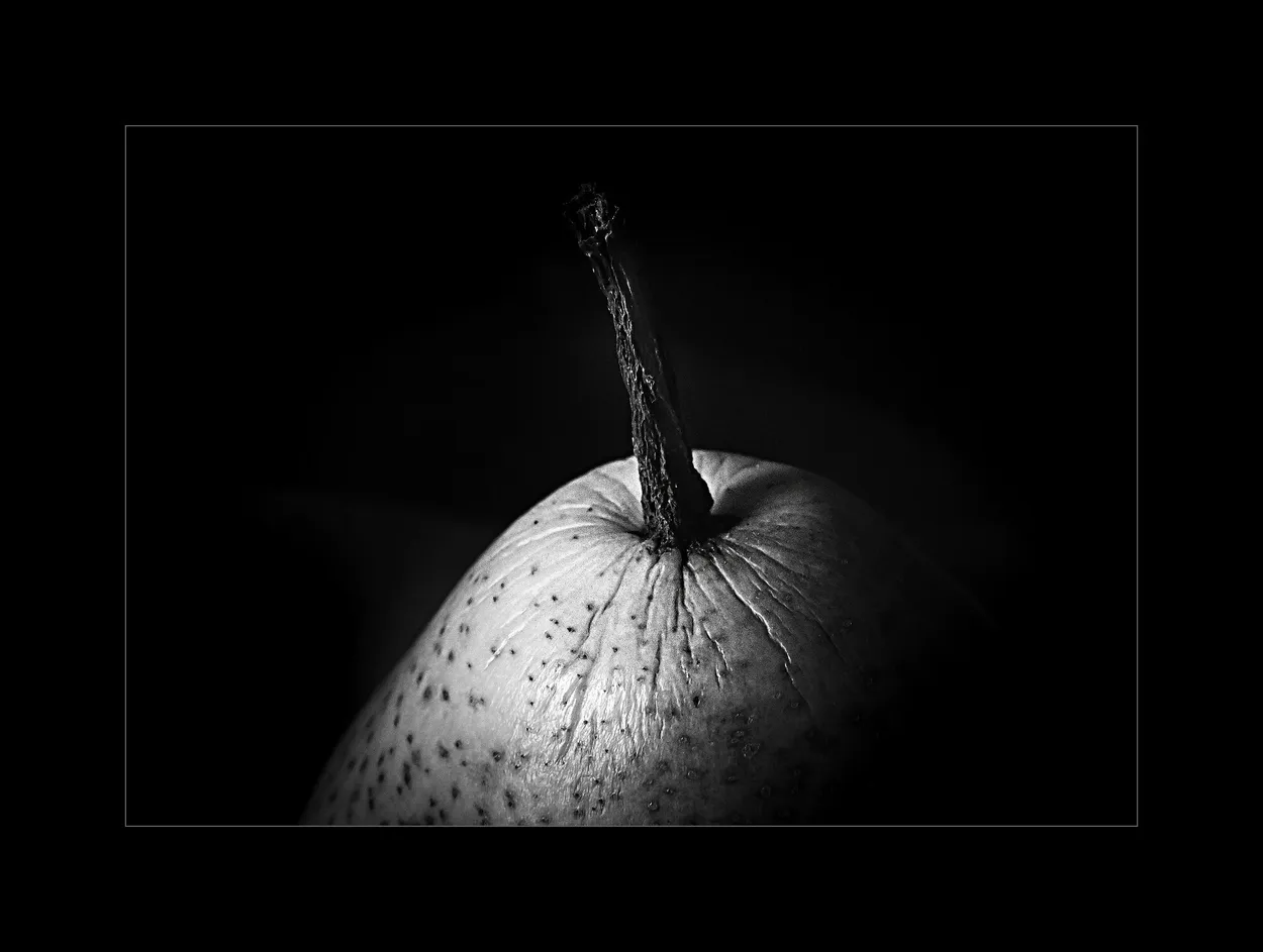 Entry 19348187
