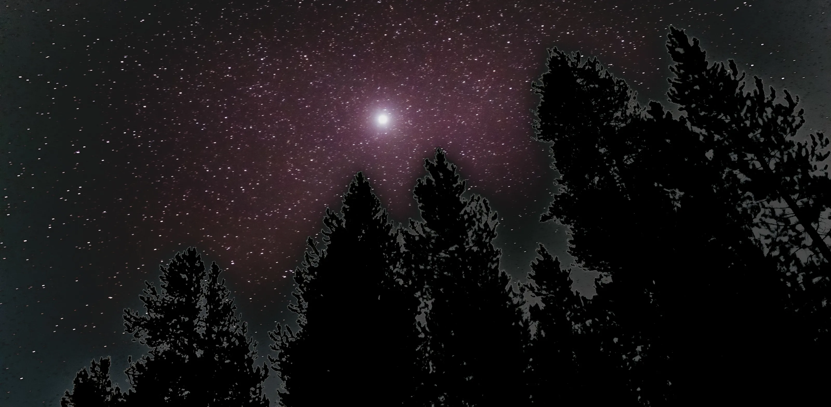 Trees, Stars, Jupiter