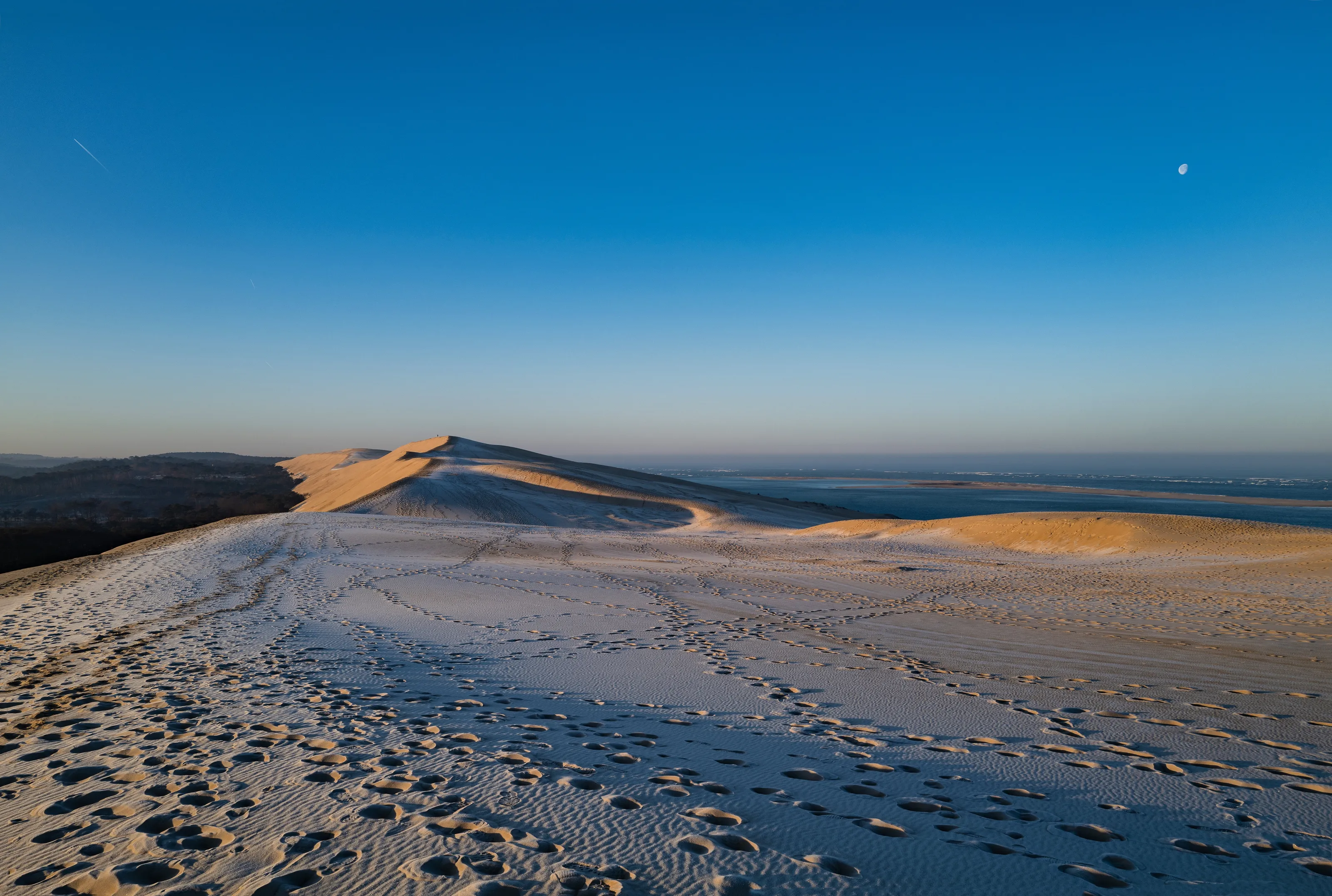 DUNE DU PYLA FROZEN