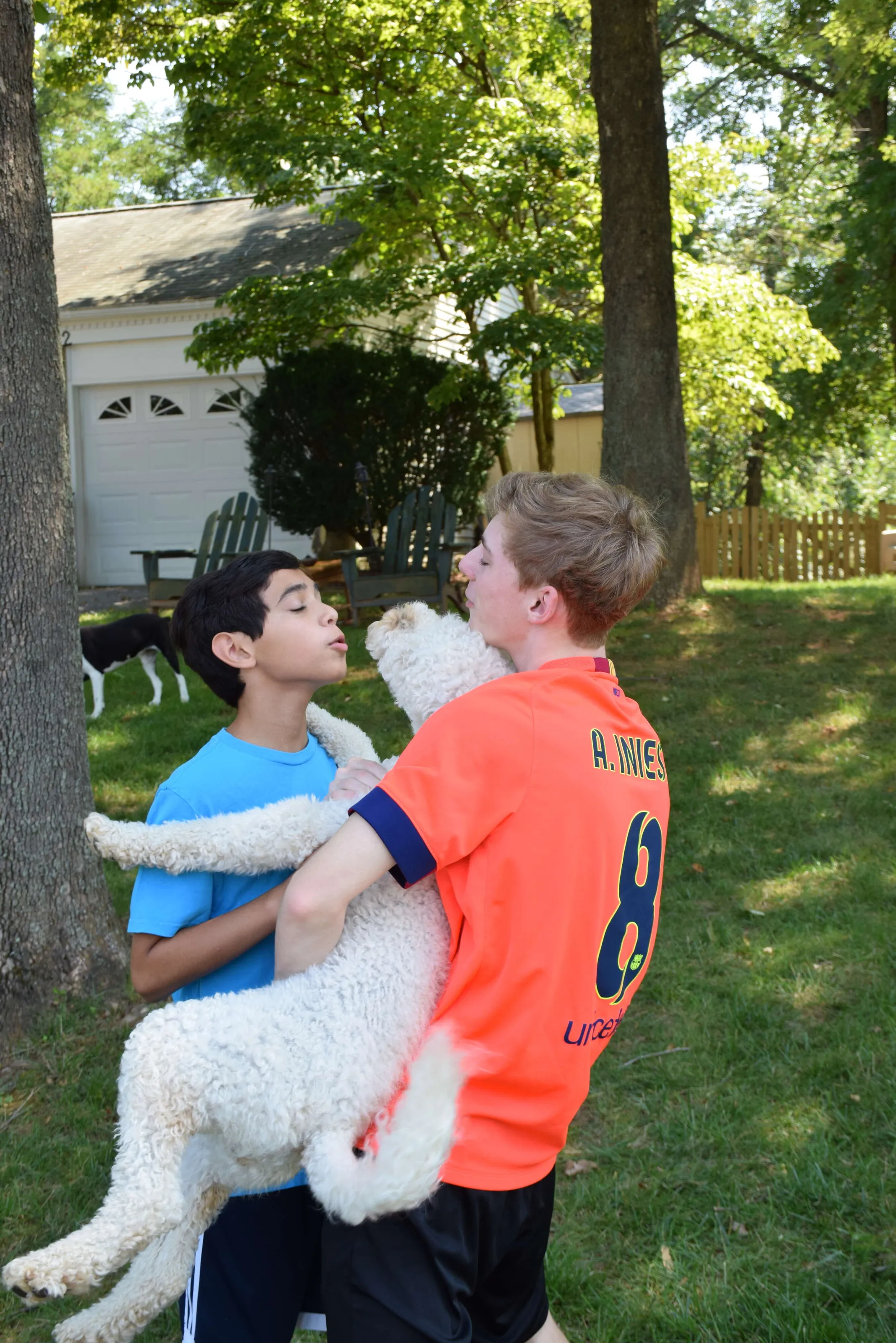 Dog lover