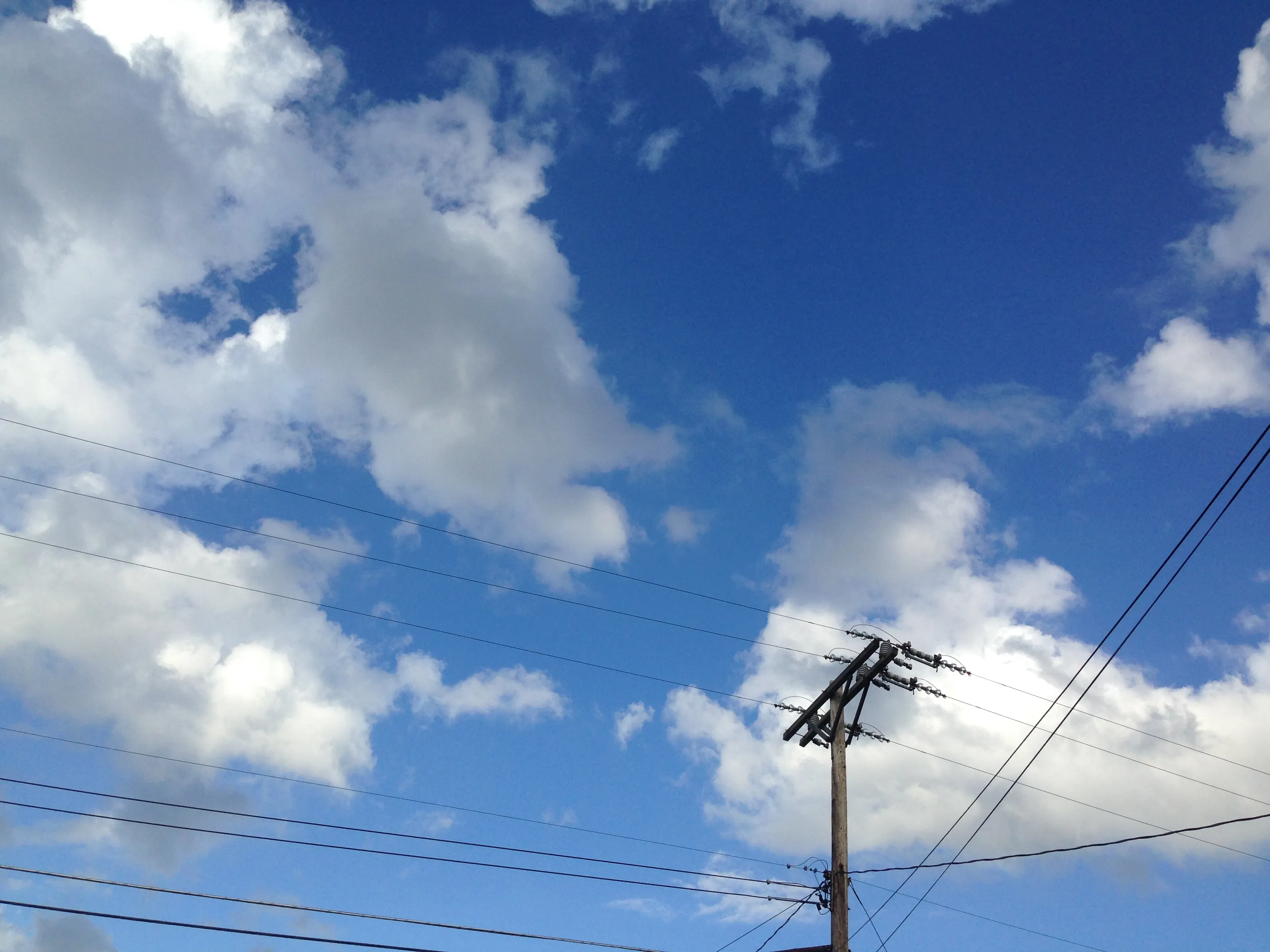 Ubiquitous Blue