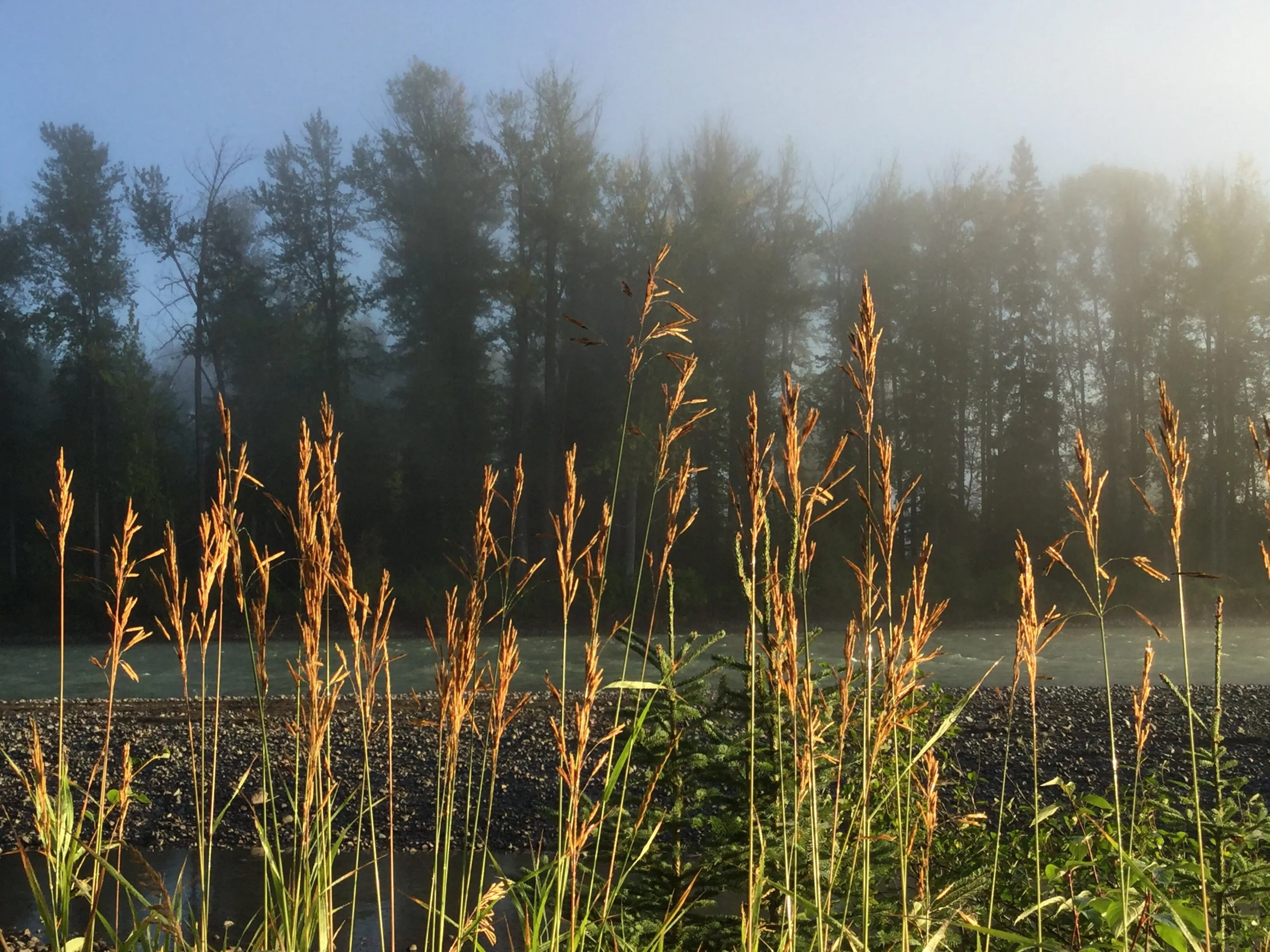 Morning Sun Rise and Fog