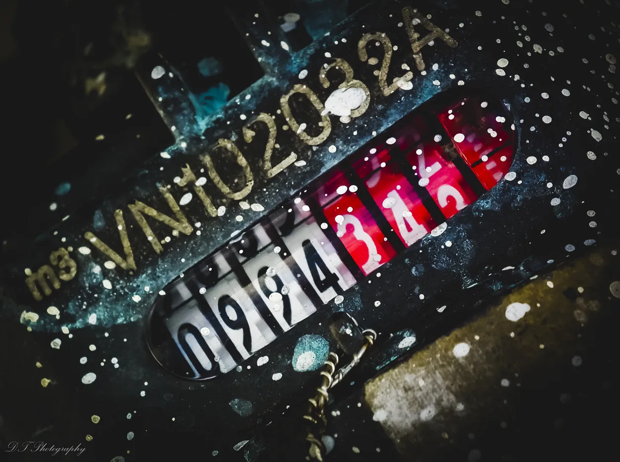 Entry 4253920