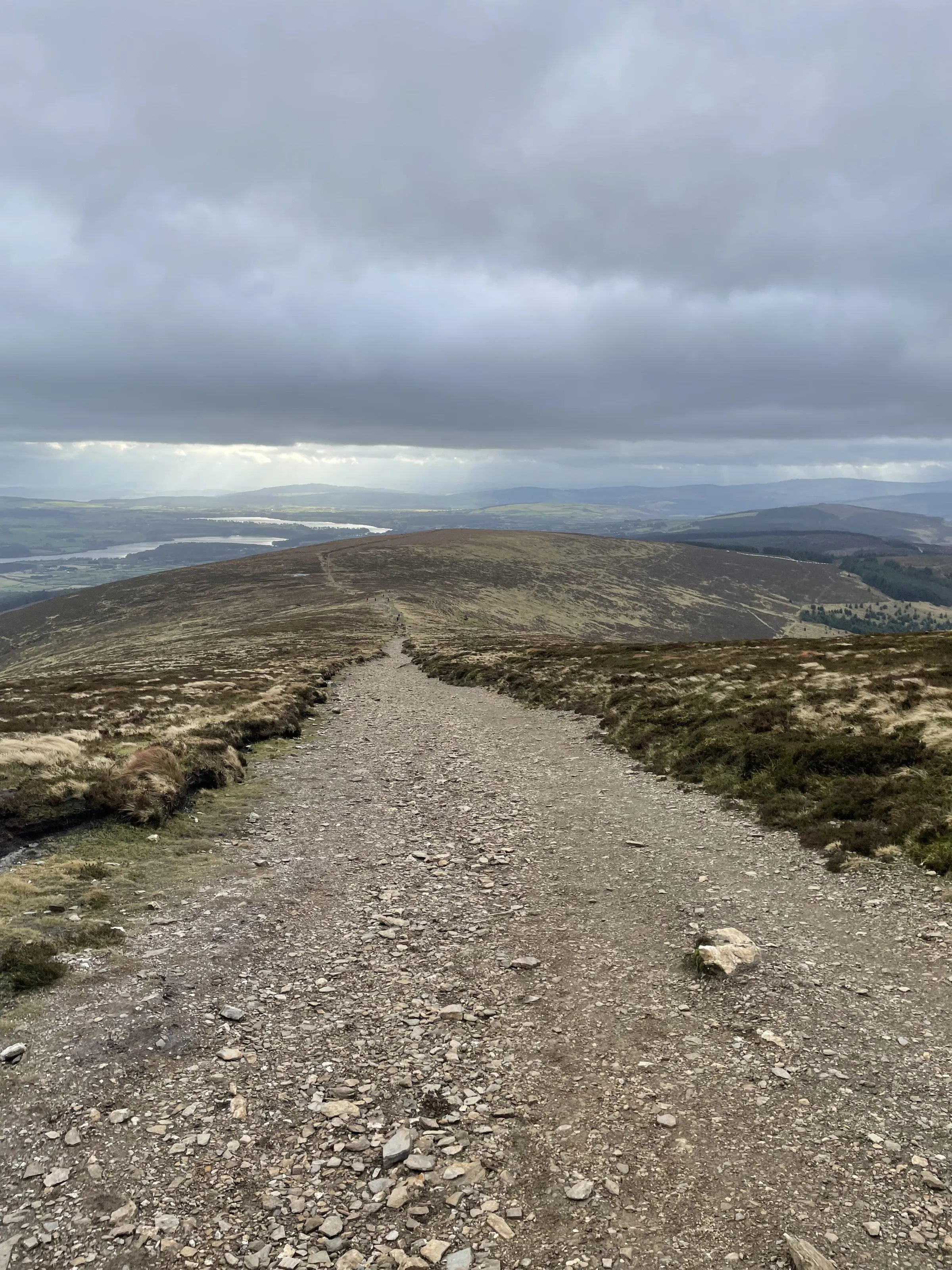 Djuice, Co. Wicklow