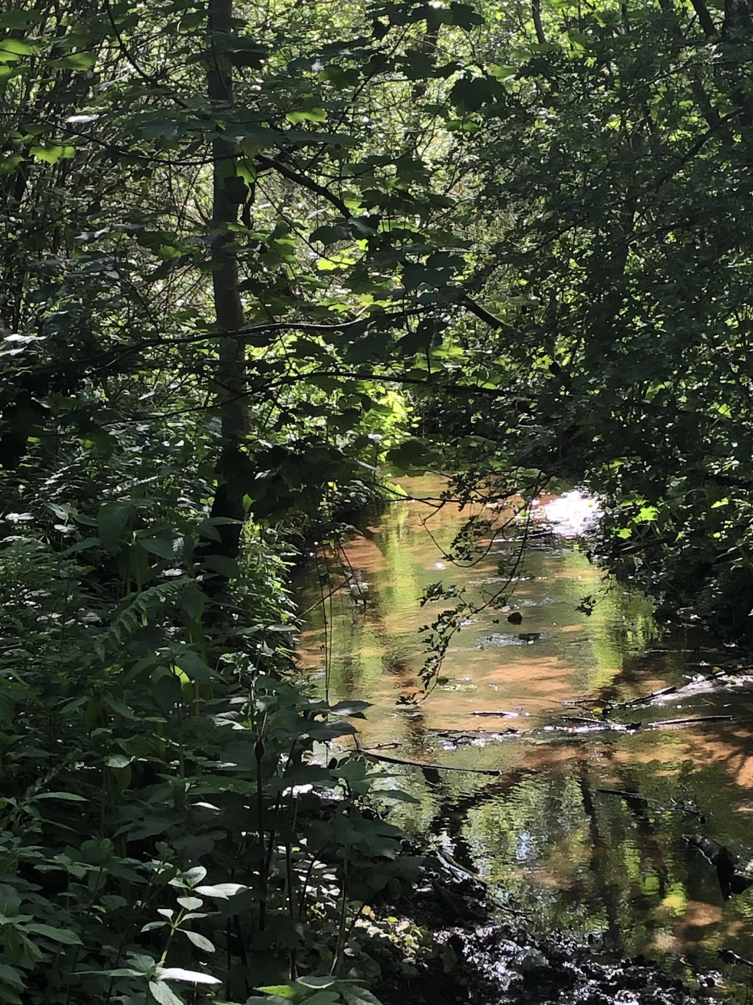 Serenity