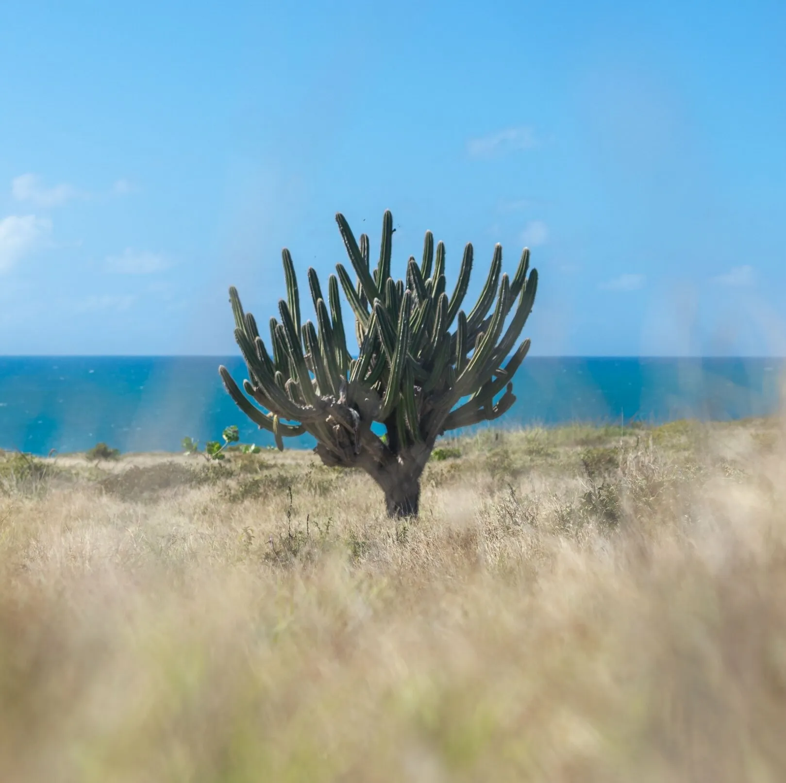 Cabo Rojo, Puerto Rico