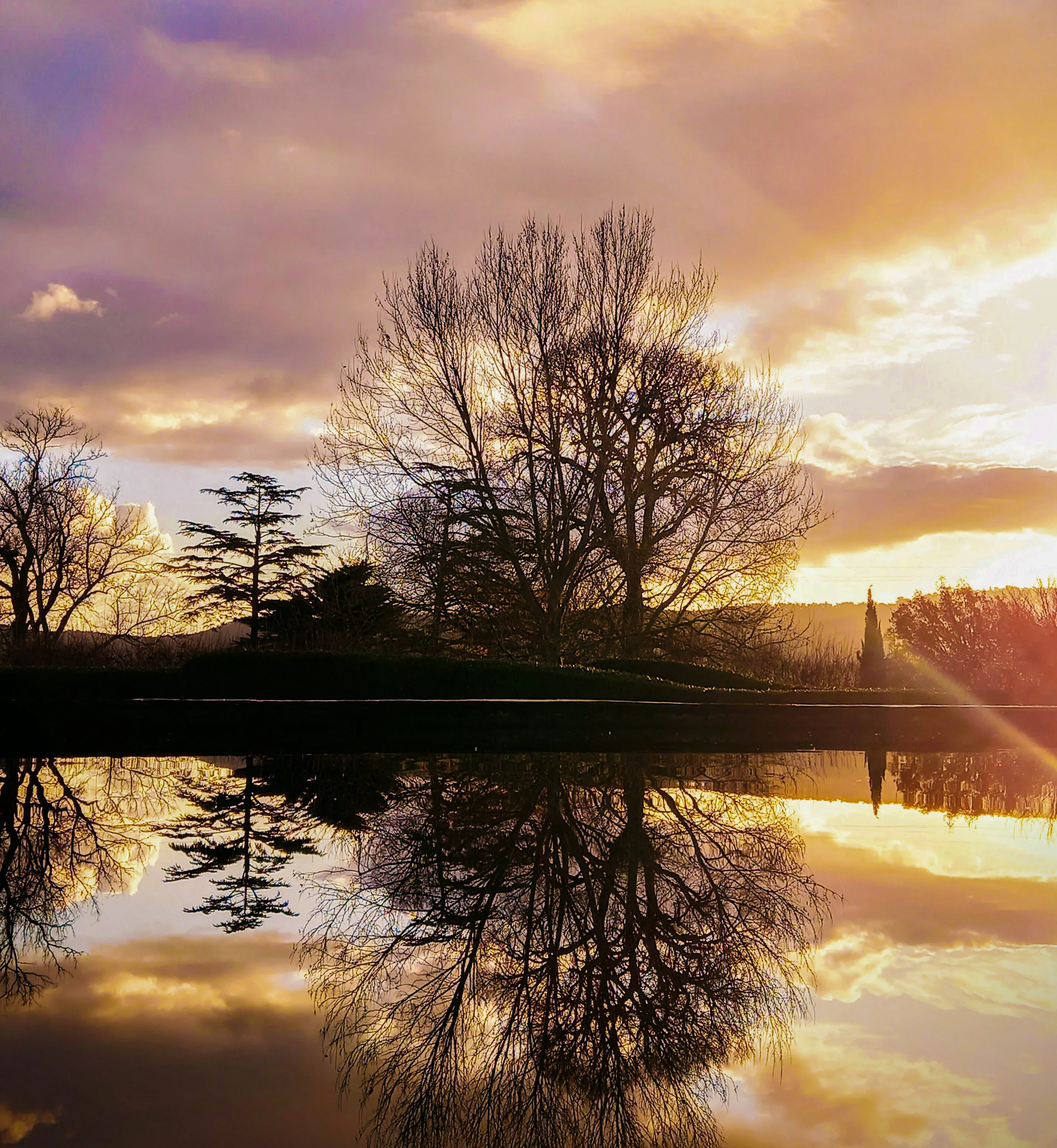 Reflective Sunset