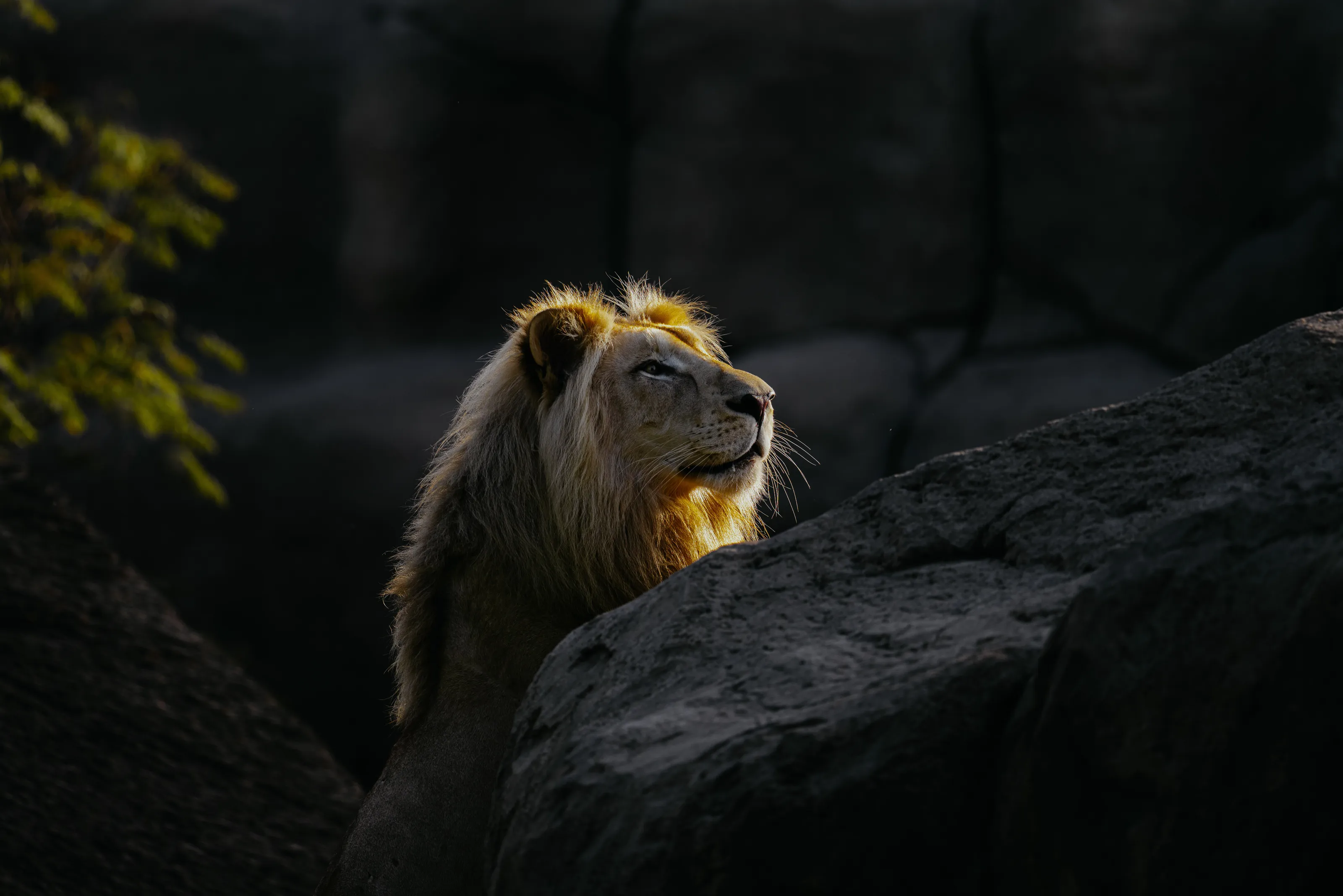 In the quiet silhouette of sunrise