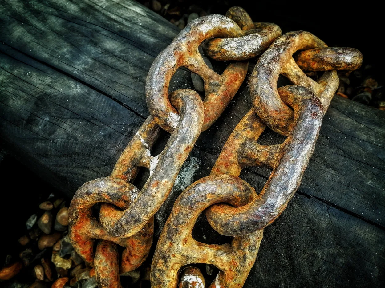 Entry 20409193