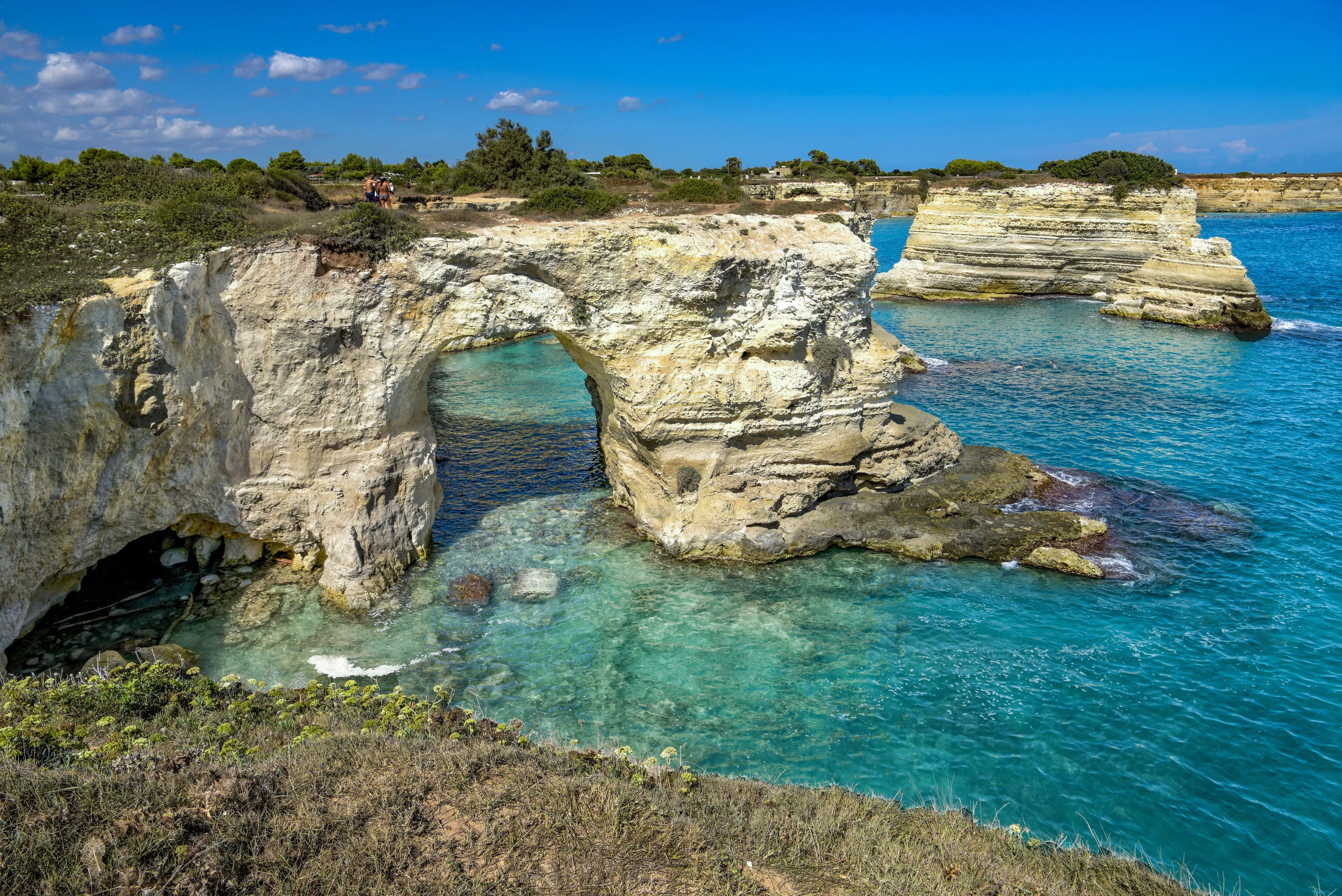 Sea Cliffs