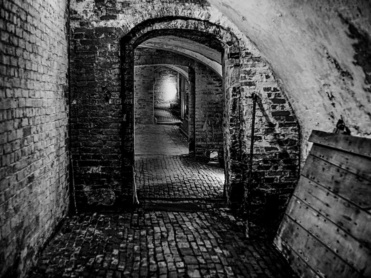 Entry 19406159