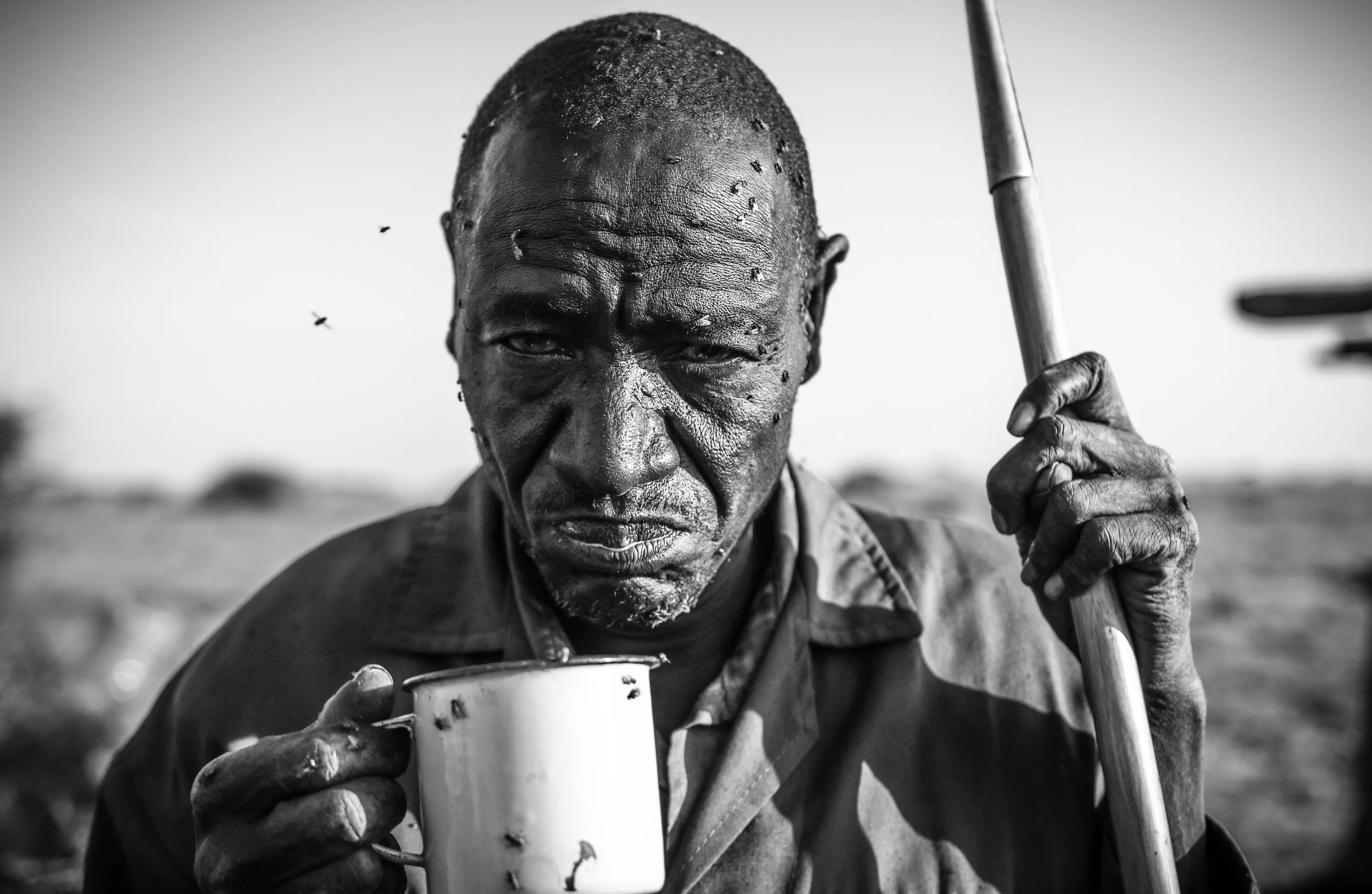 Morning cup of camel milk