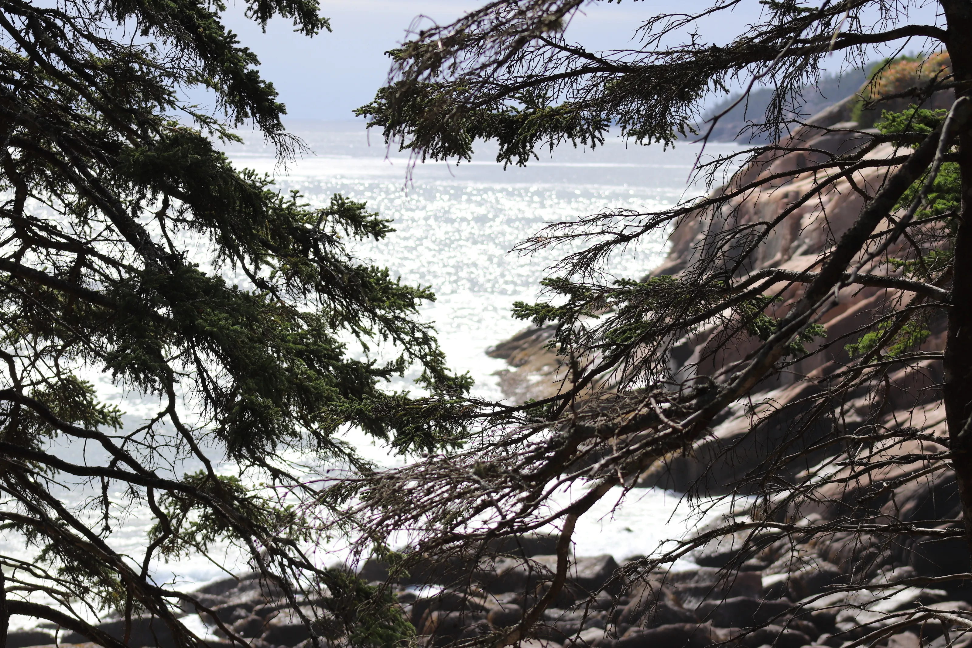 Bar Harbor, ME