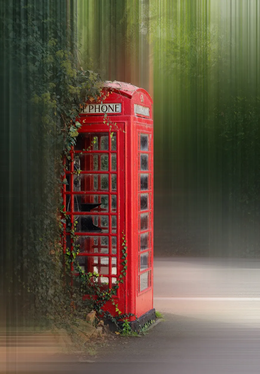 Entry 19530016