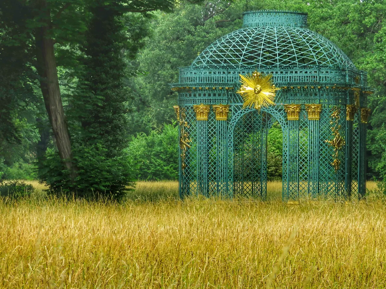 Entry 19408798