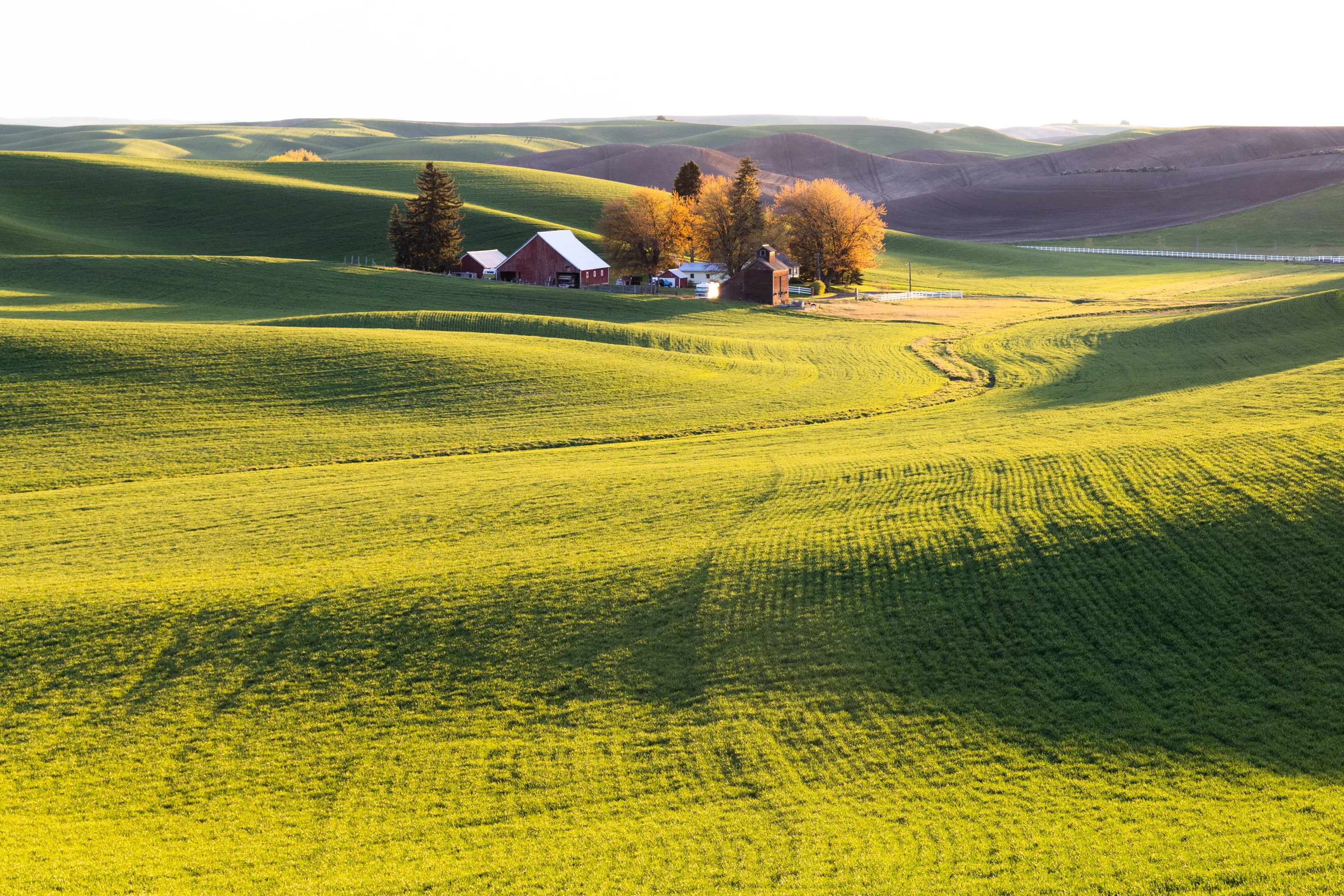 country life