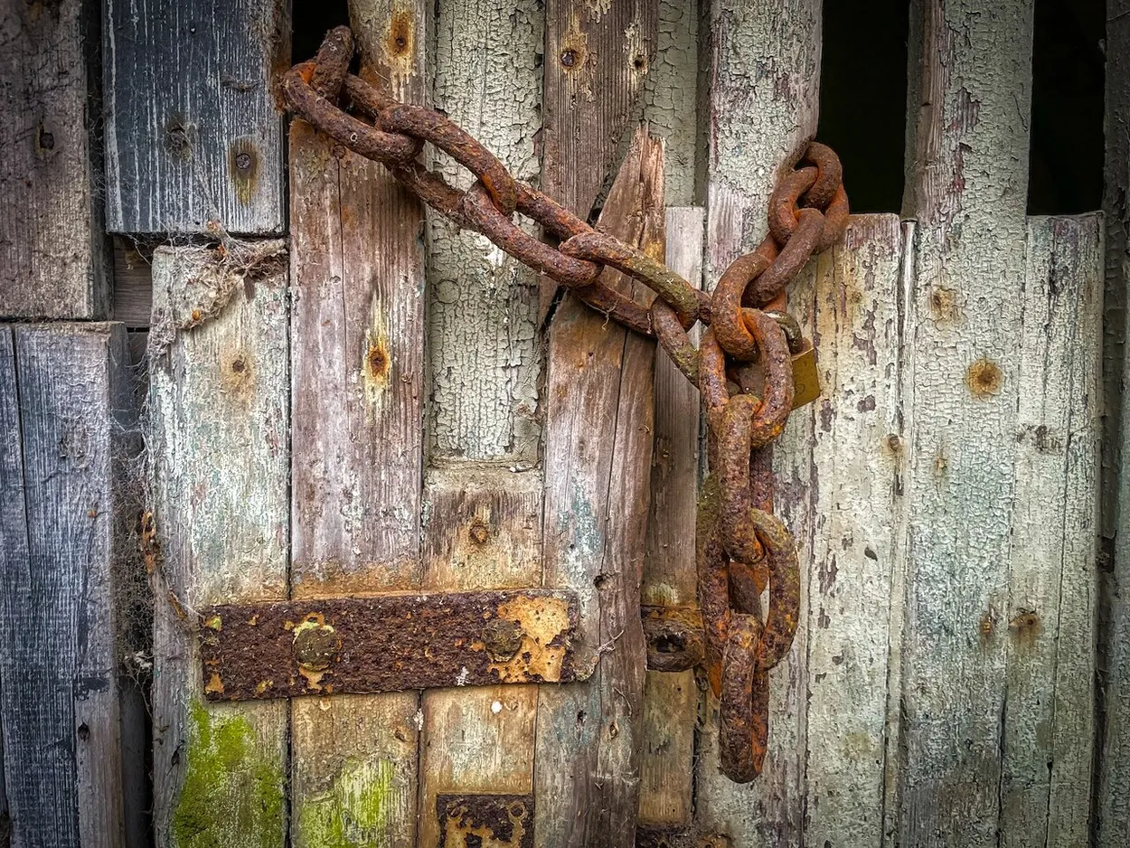Entry 19439328