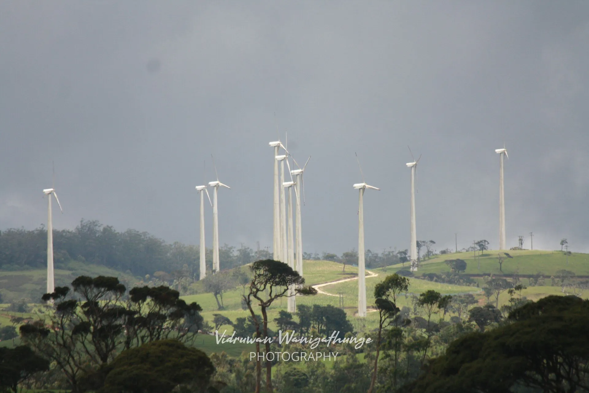 windmills