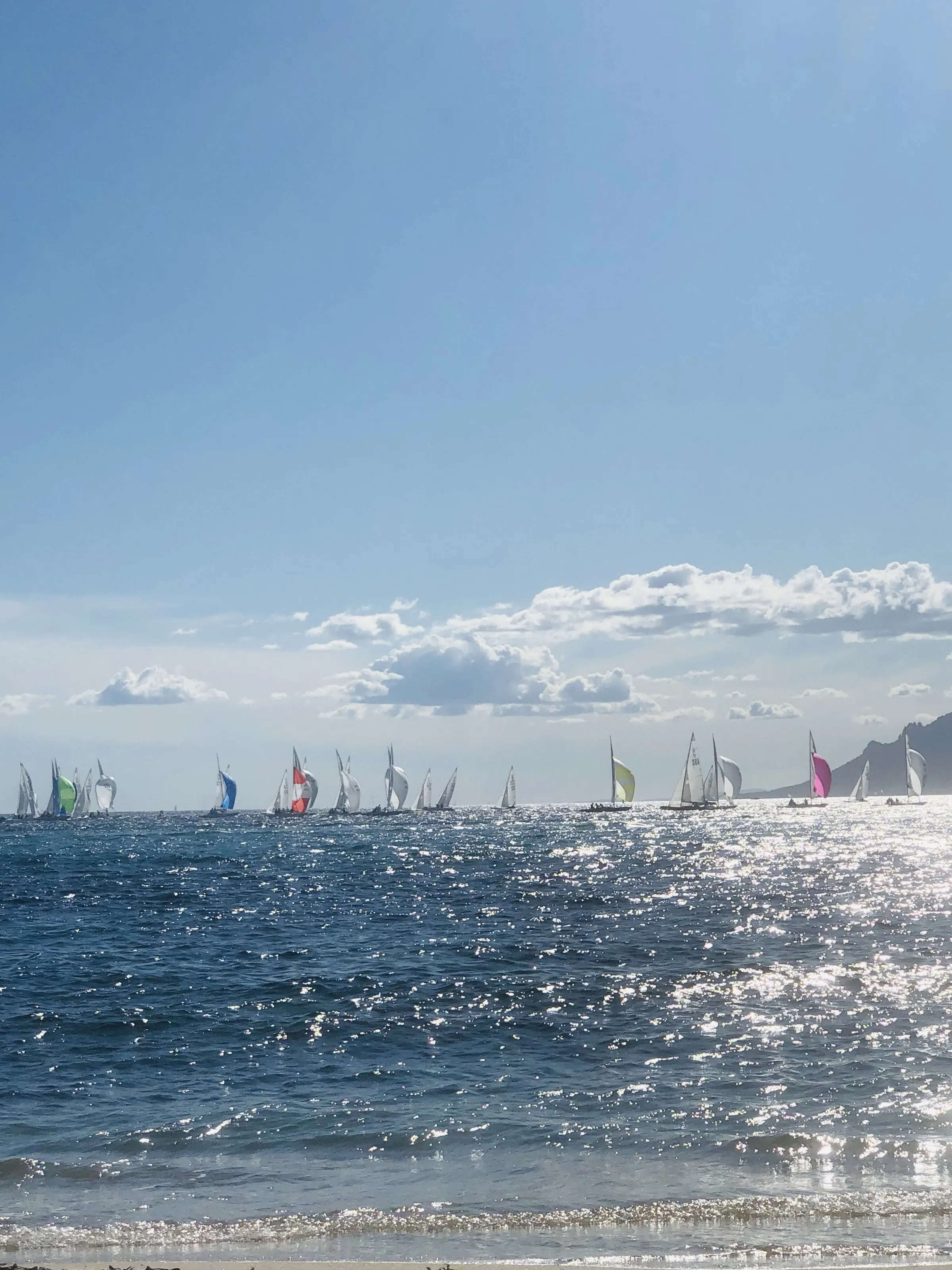 Regatta ⛵️ in Cannes