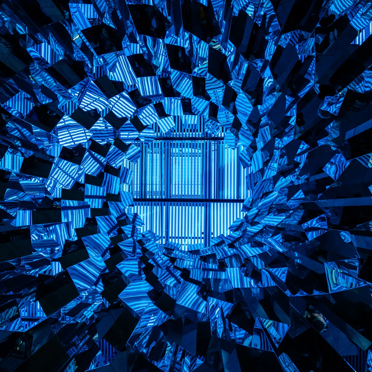 Entry 21135401