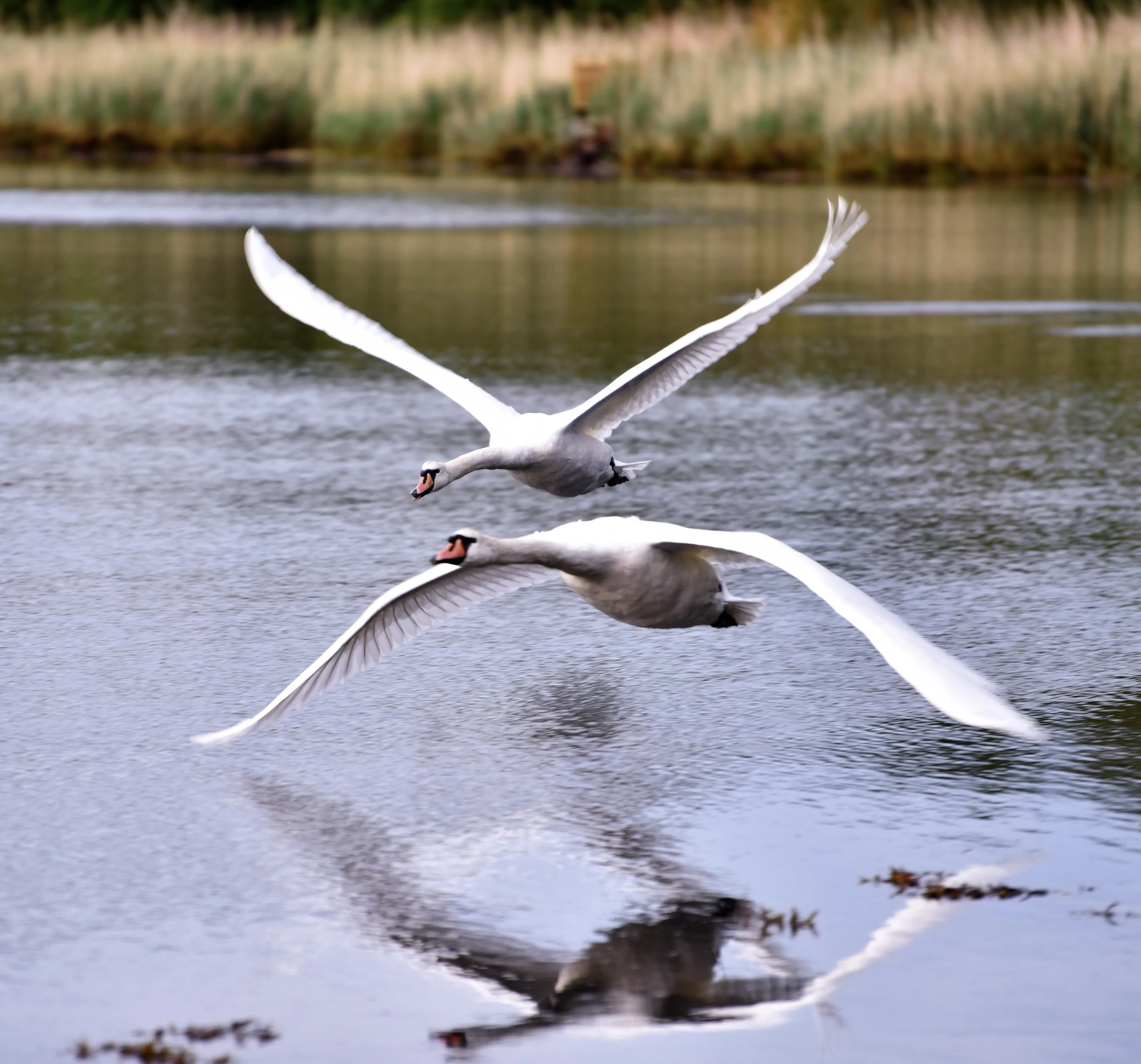 Flying low