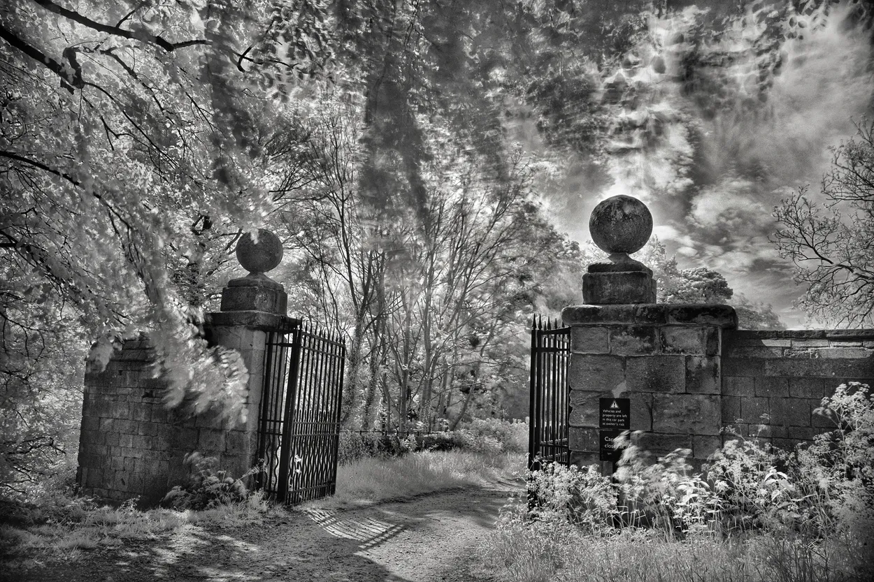 Entry 19473014