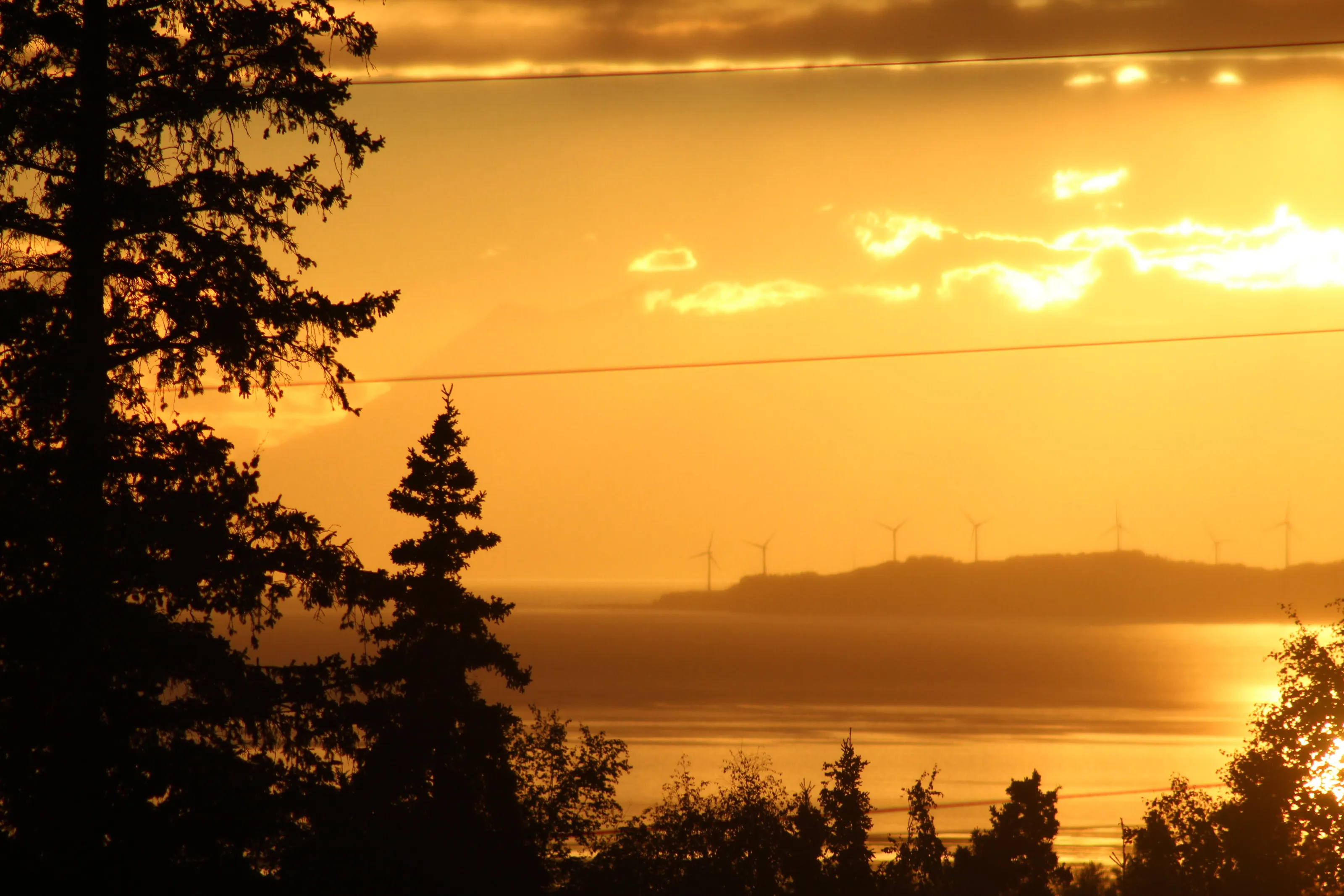 Alaskan Golden Hour