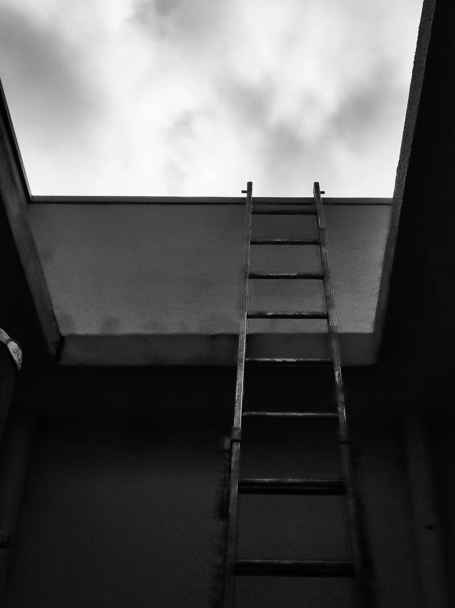 Entry 19487244