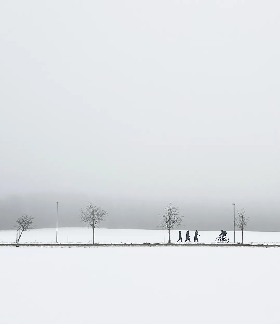 Untitled image