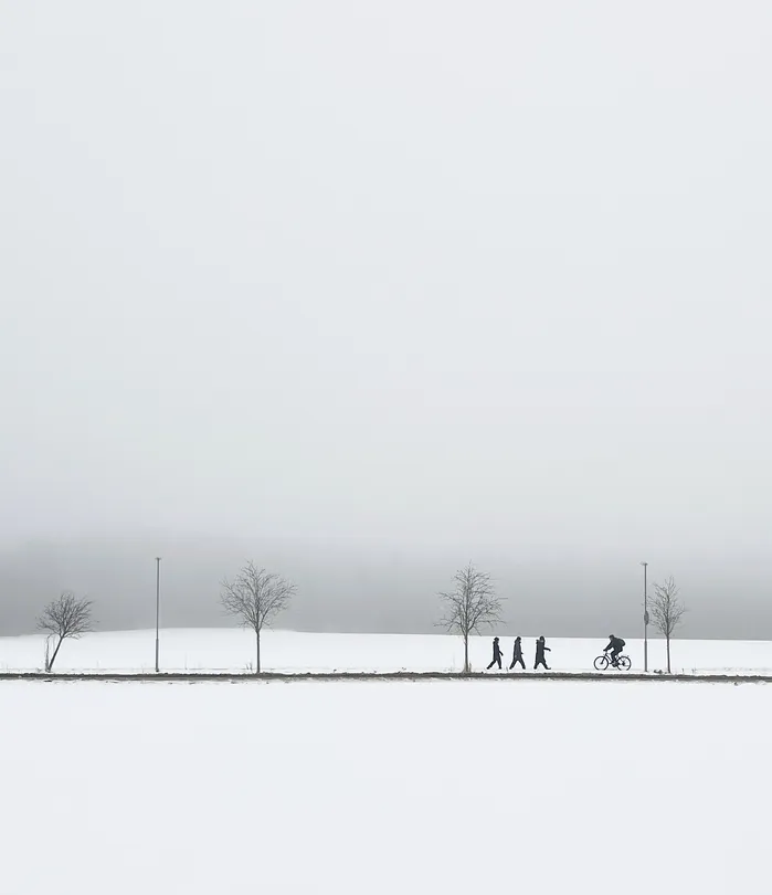 Untitled image