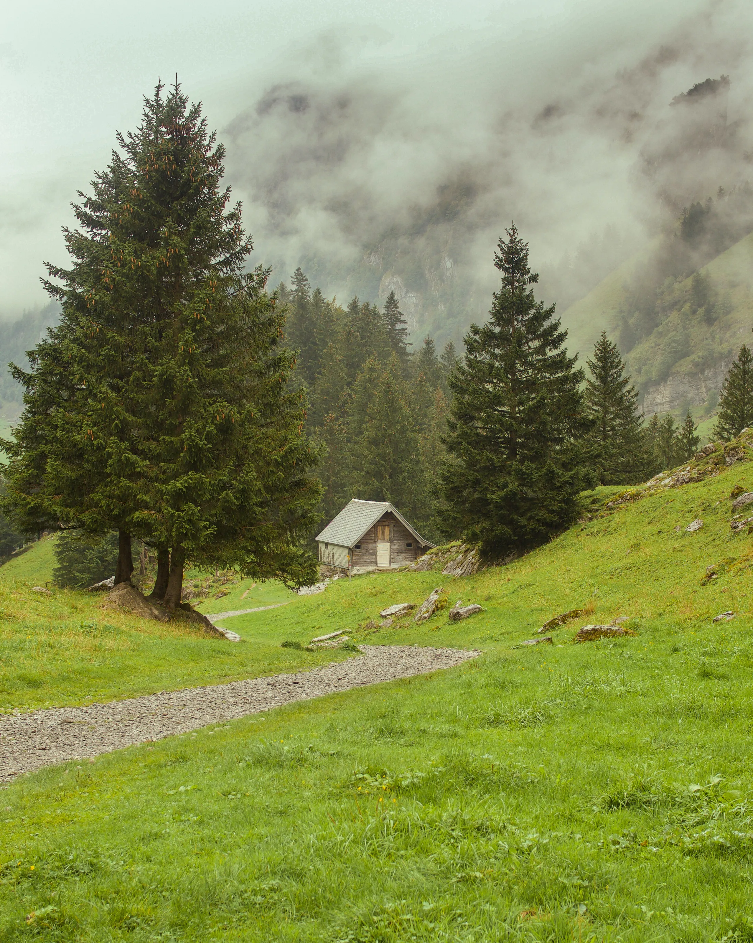 Swiss mountain trail