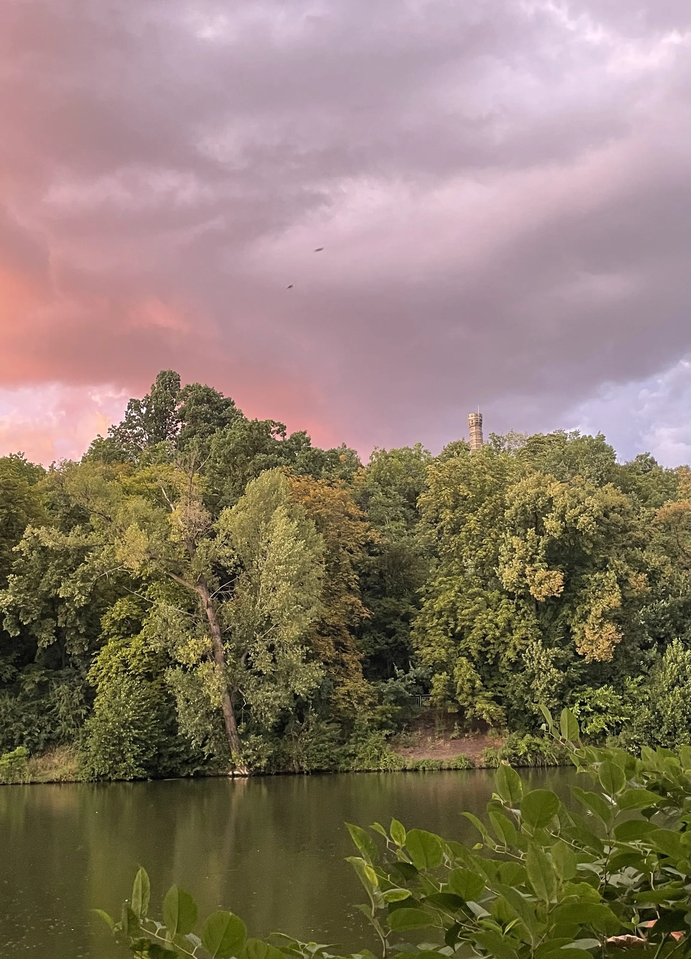 Pink and purple skies on a windy day near the river