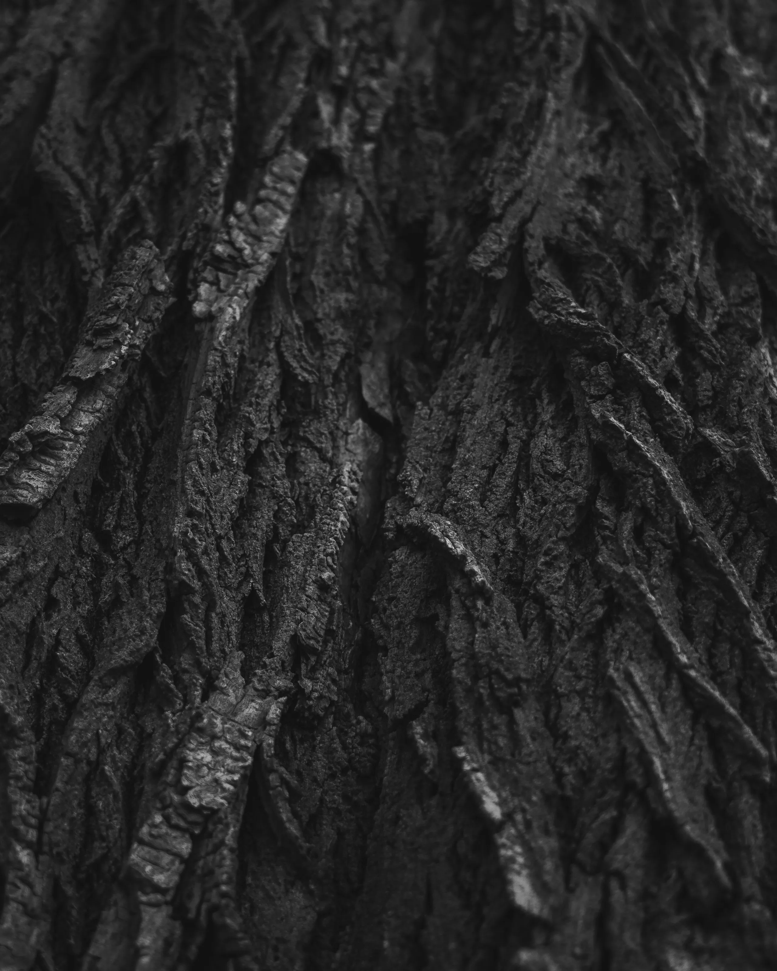 Running Wood